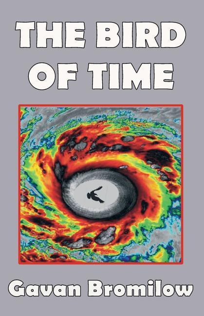 Vorderes Coverbild The Bird of Time