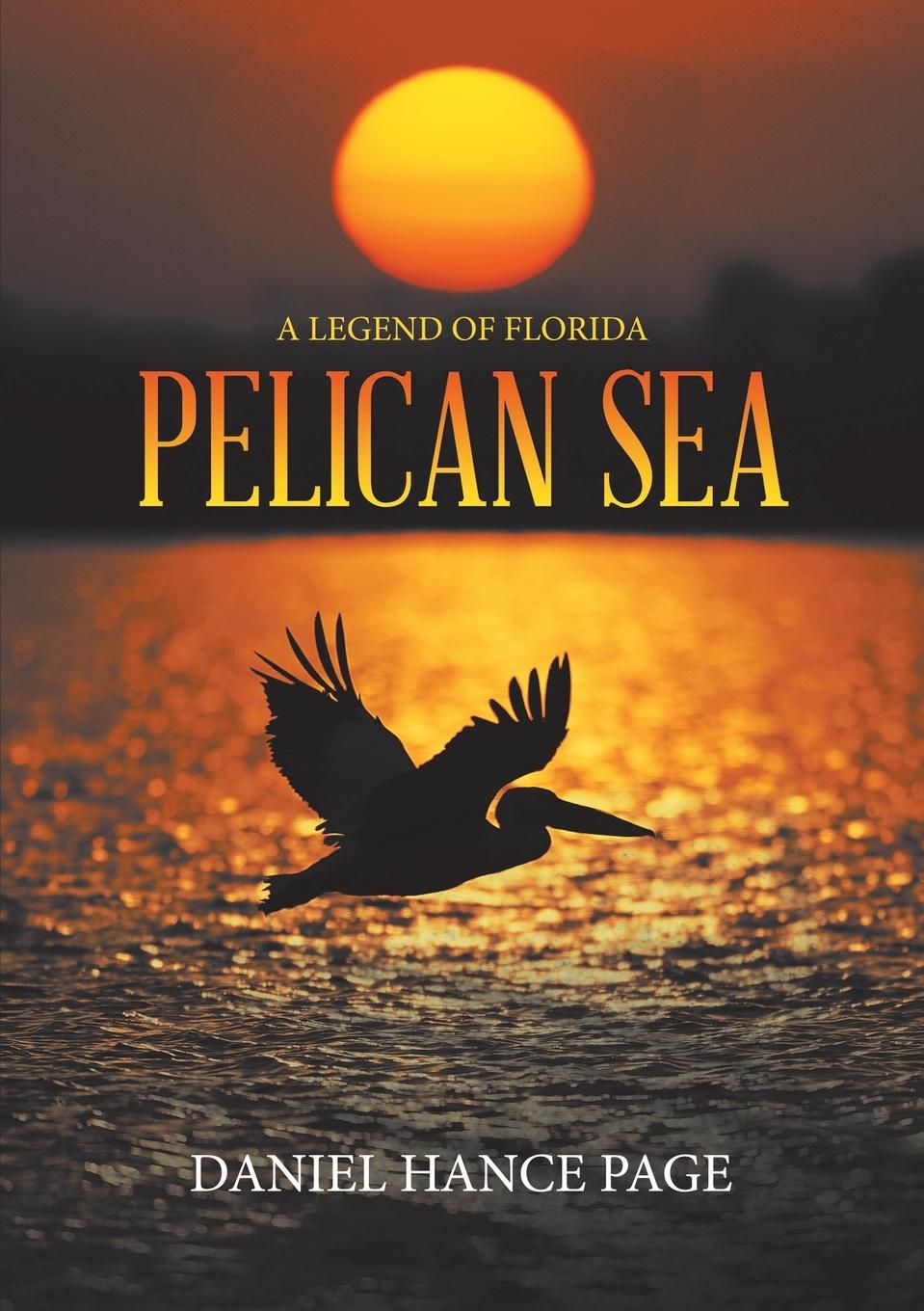 Vorderes Coverbild Pelican Sea