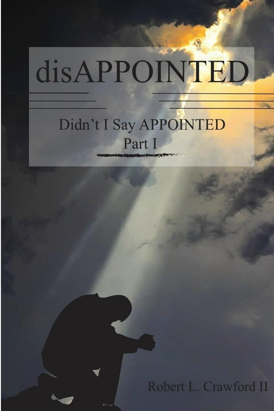 Vorderes Coverbild disAPPOINTED
