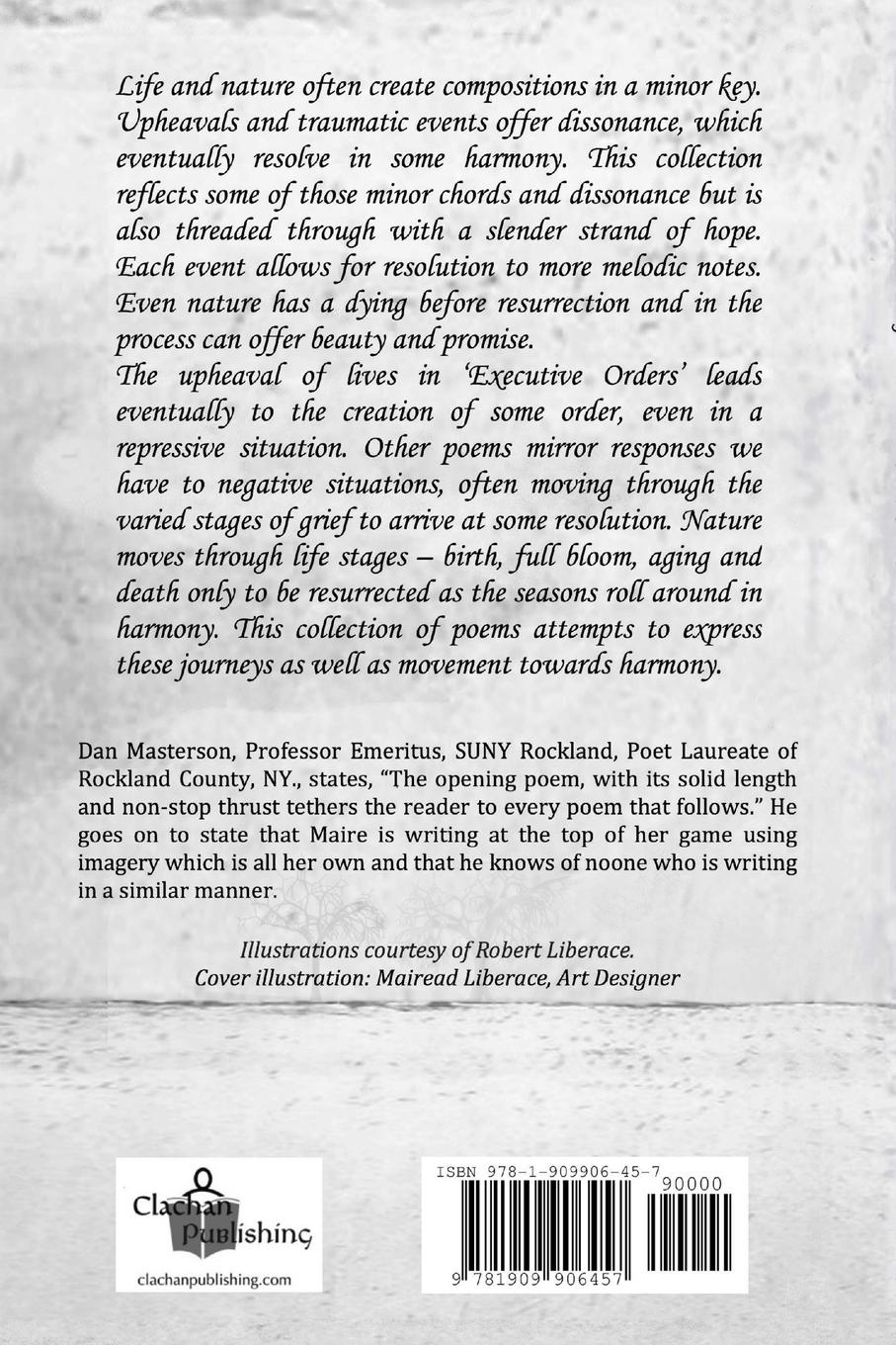 Rückseitencover Lament in a Minor Key