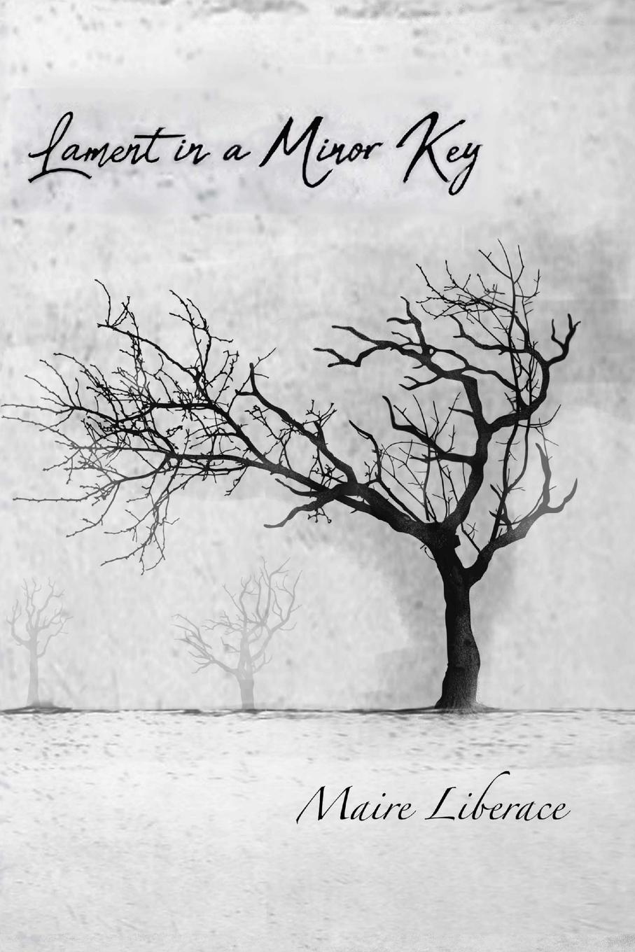 Vorderes Coverbild Lament in a Minor Key