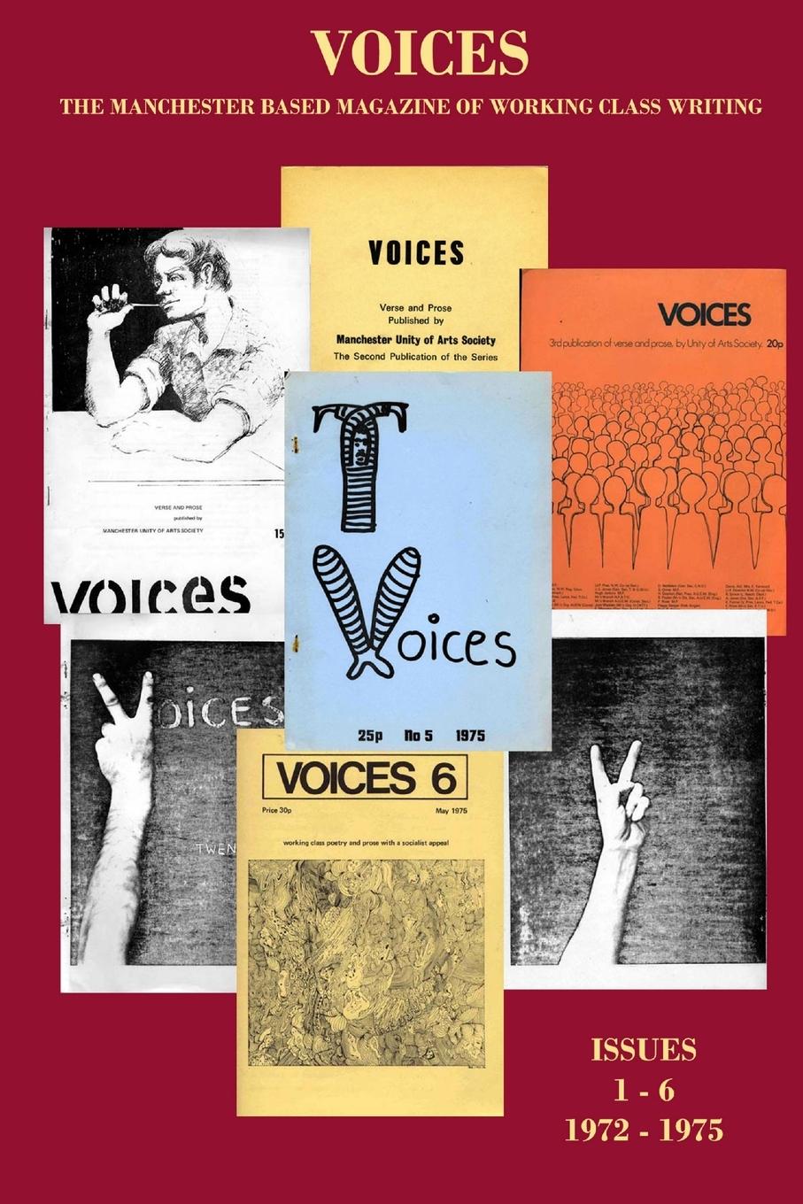 Vorderes Coverbild Voices 1