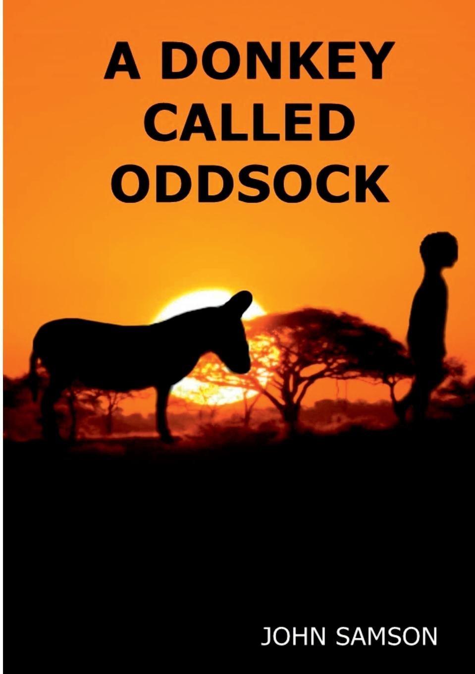 Vorderes Coverbild A Donkey Called Oddsock