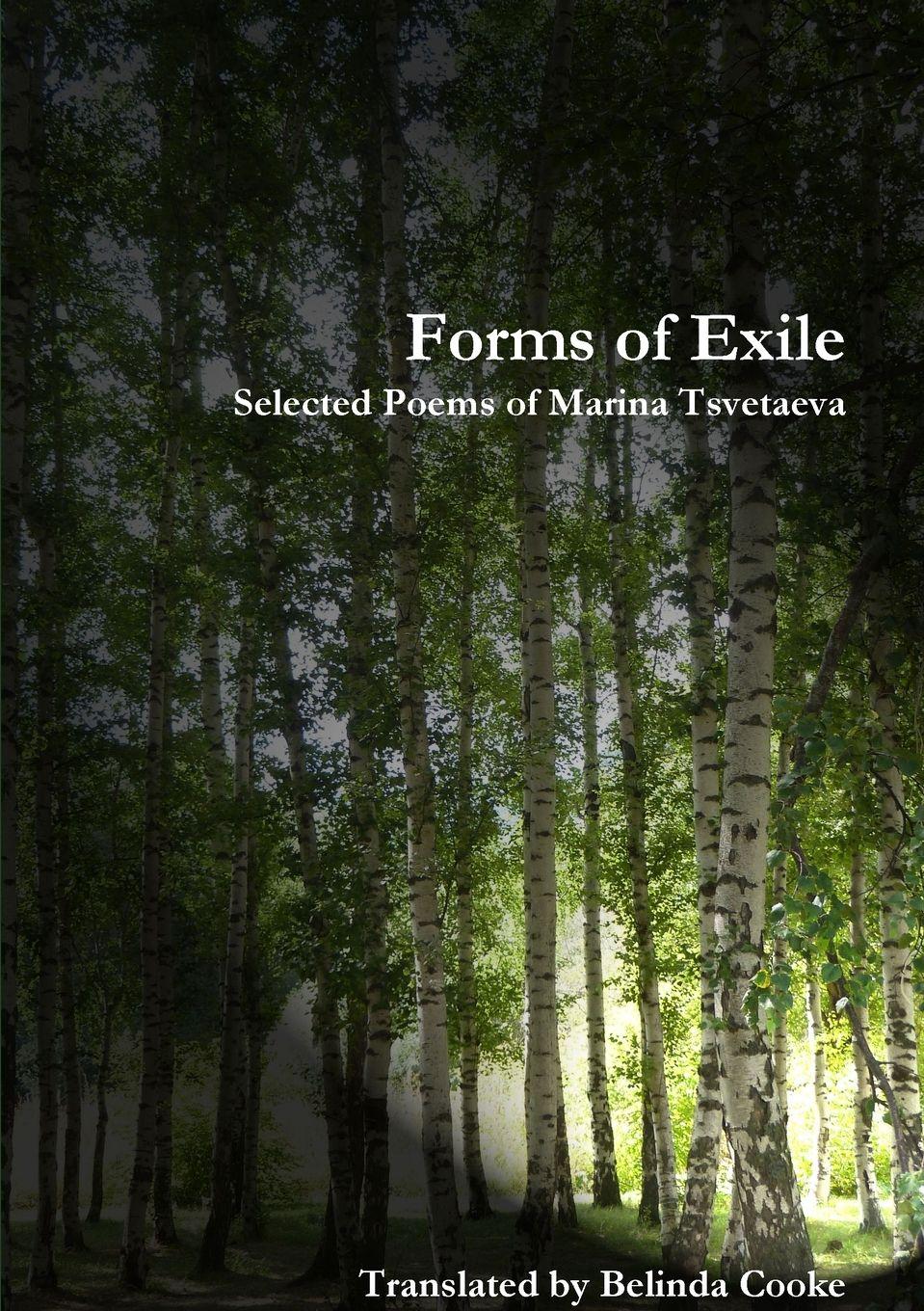 Vorderes Coverbild Forms of Exile