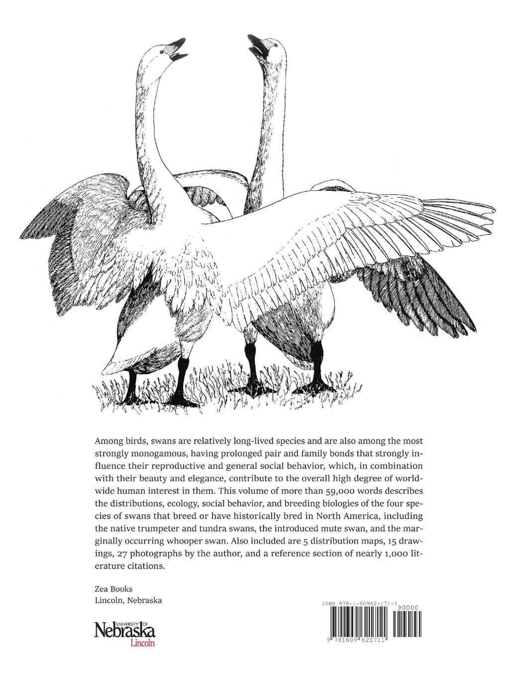 Rückseitencover The North American Swans