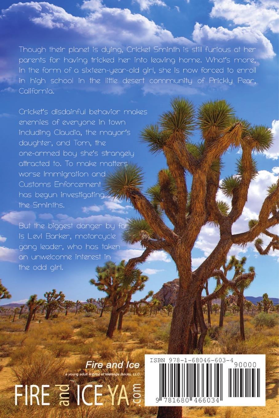 Rückseitencover A Girl Named Cricket