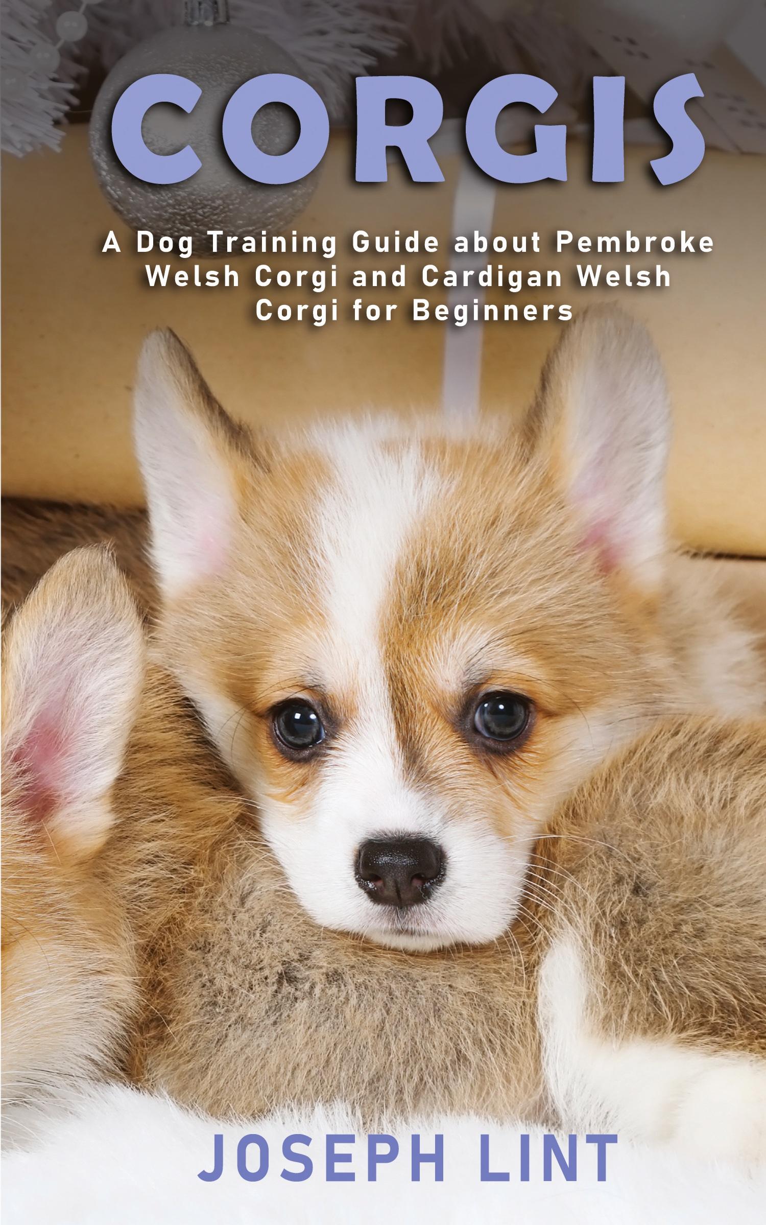 Vorderes Coverbild Corgis