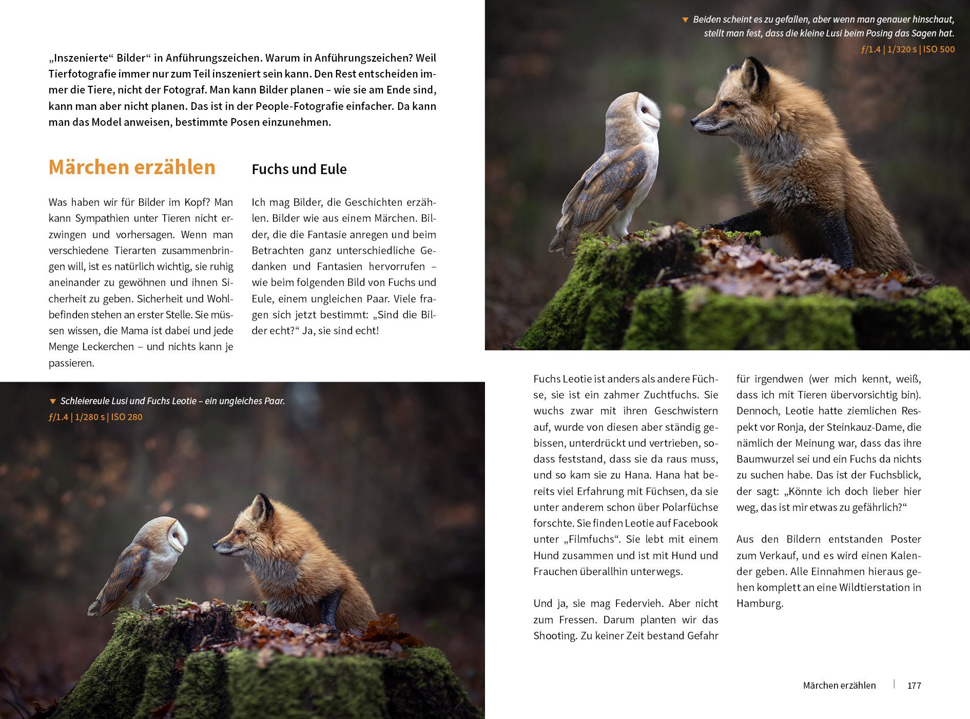 Beispielinhalt (Bild) Tierische Momente fotografieren