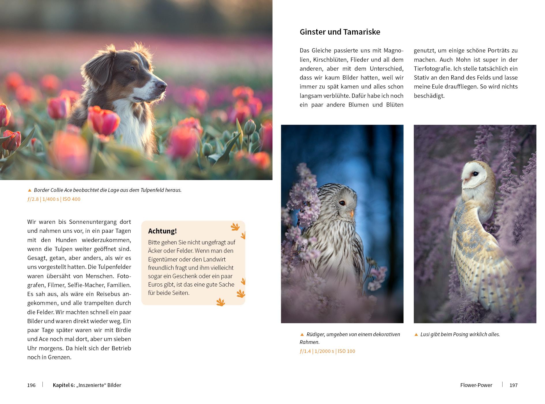 Beispielinhalt (Bild) Tierische Momente fotografieren