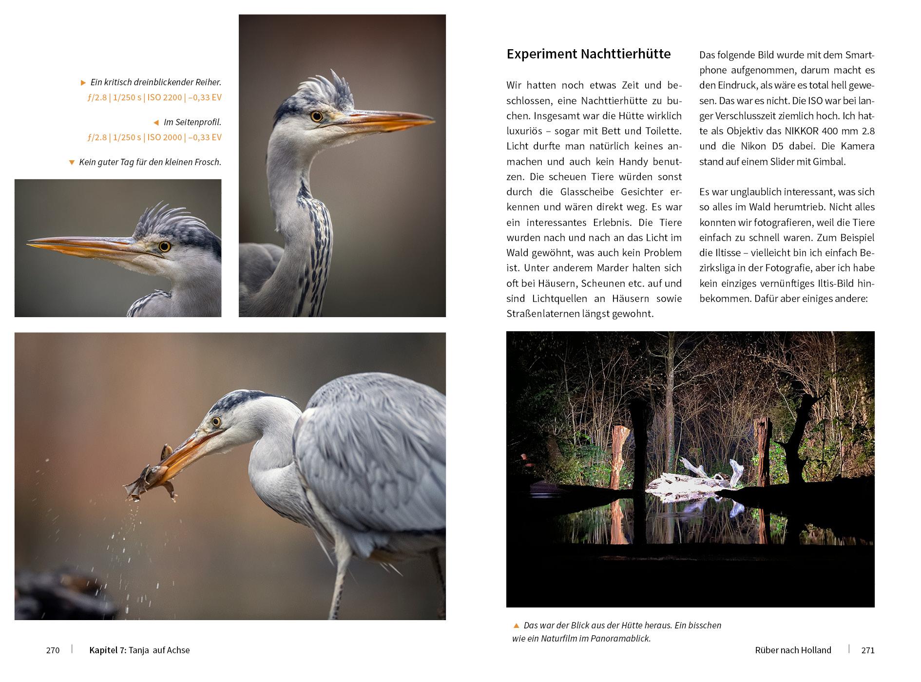 Beispielinhalt (Bild) Tierische Momente fotografieren