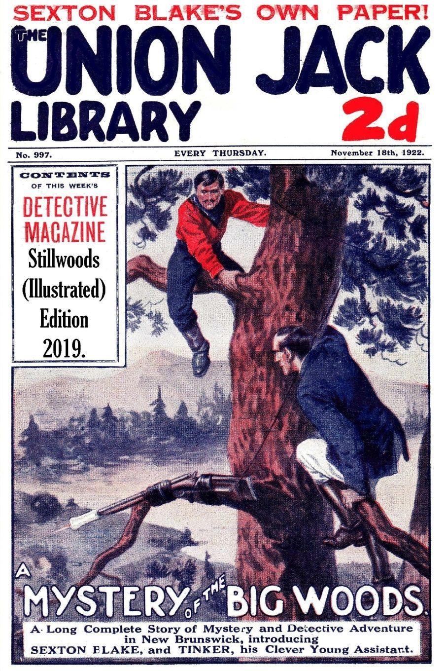 Vorderes Coverbild A Mystery in the Big Woods (Illustrated)