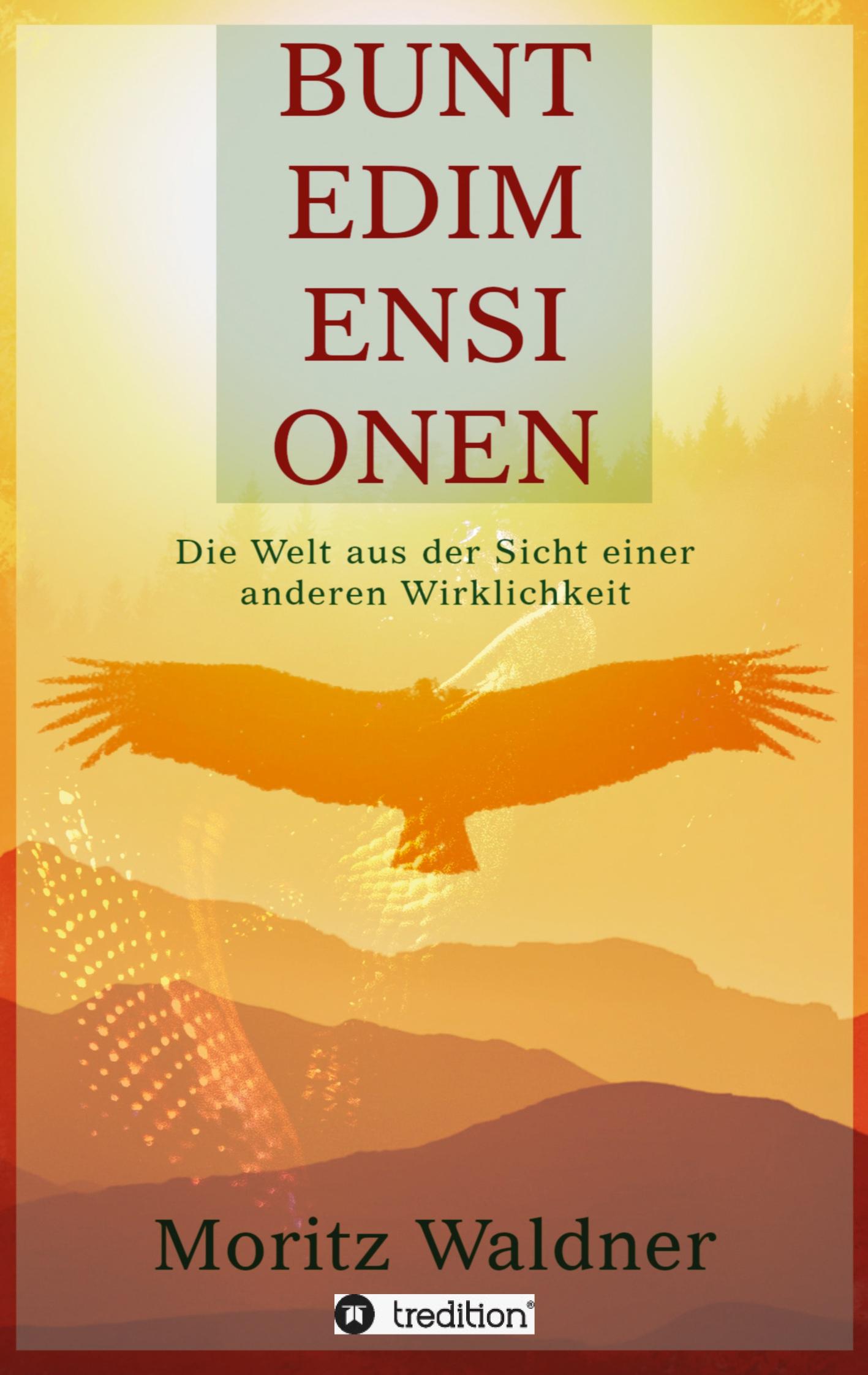 Vorderes Coverbild Bunte Dimensionen