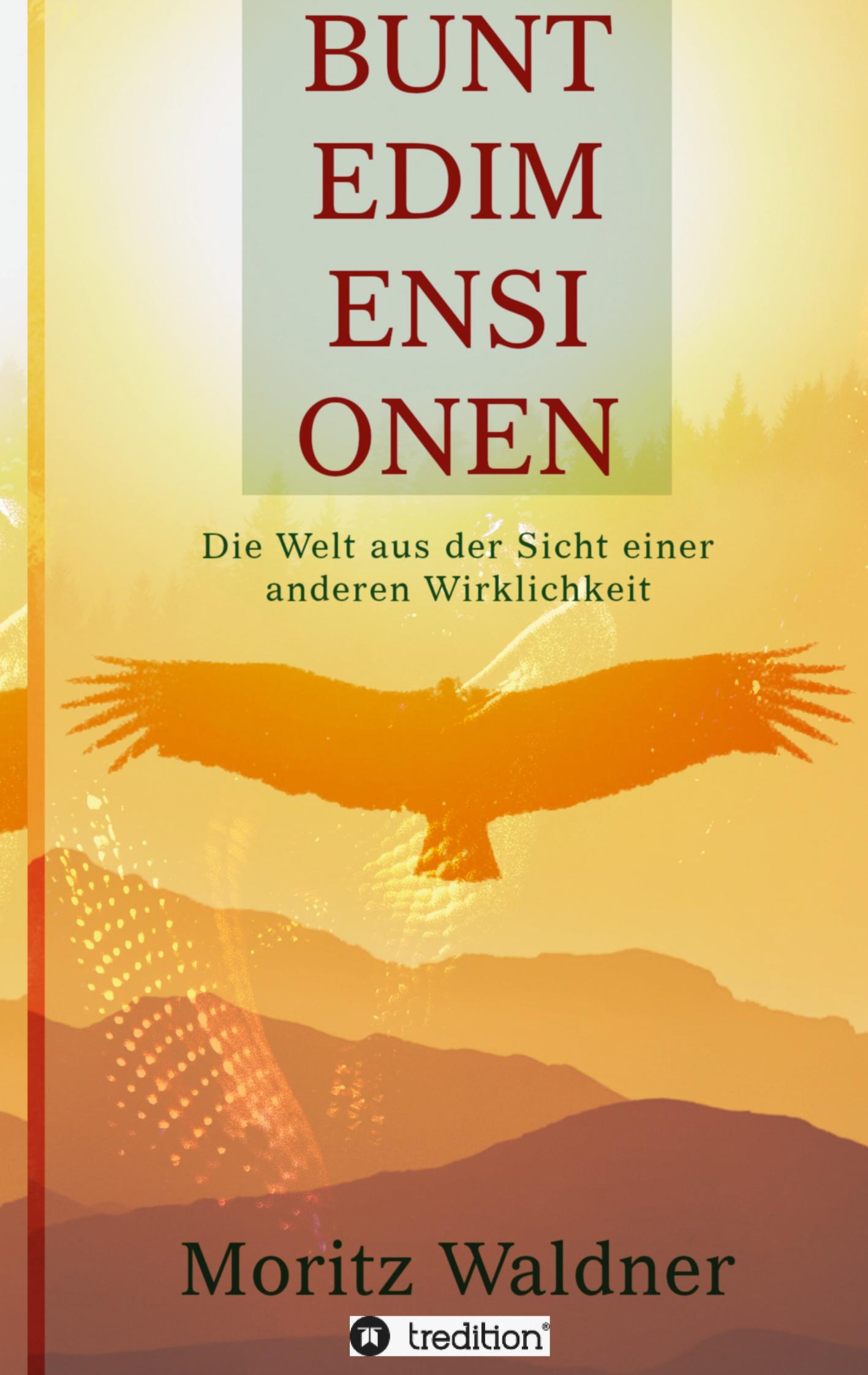 Vorderes Coverbild Bunte Dimensionen