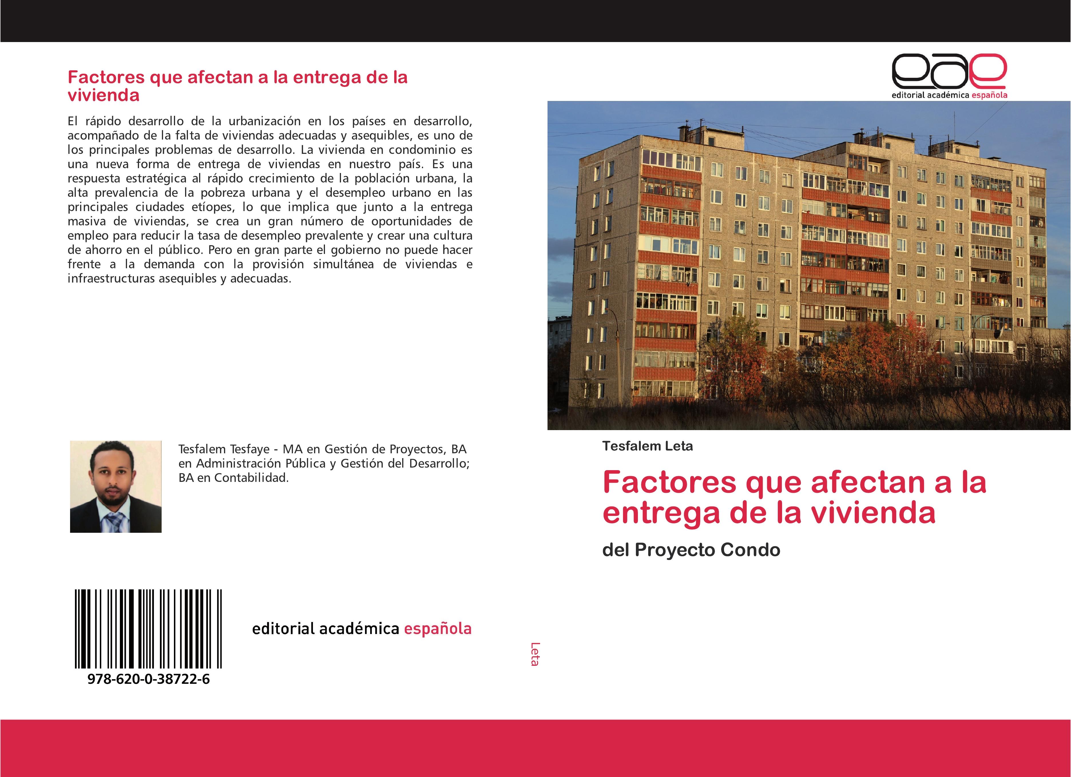 Vorderes Coverbild Factores que afectan a la entrega de la vivienda