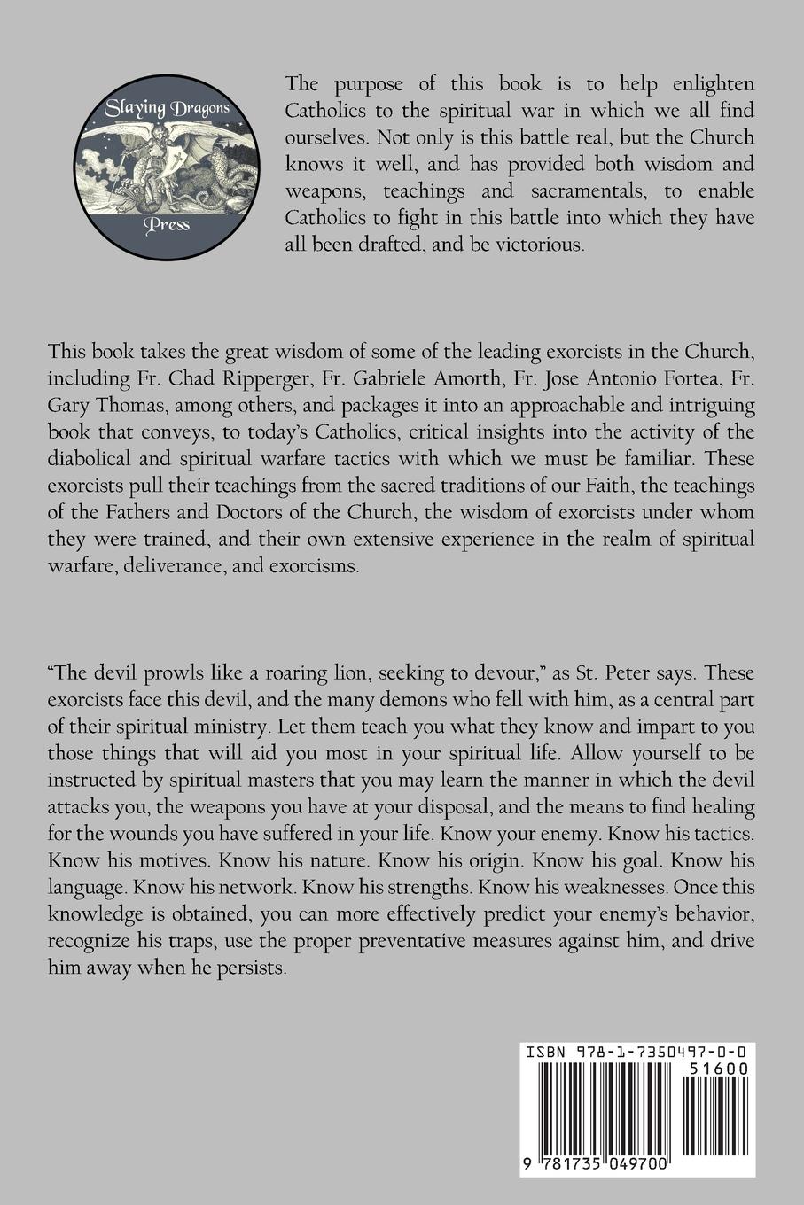 Rückseitencover Slaying Dragons