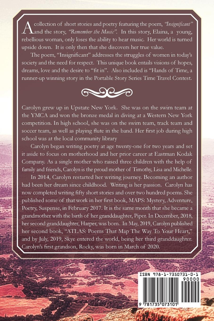 Rückseitencover GPS