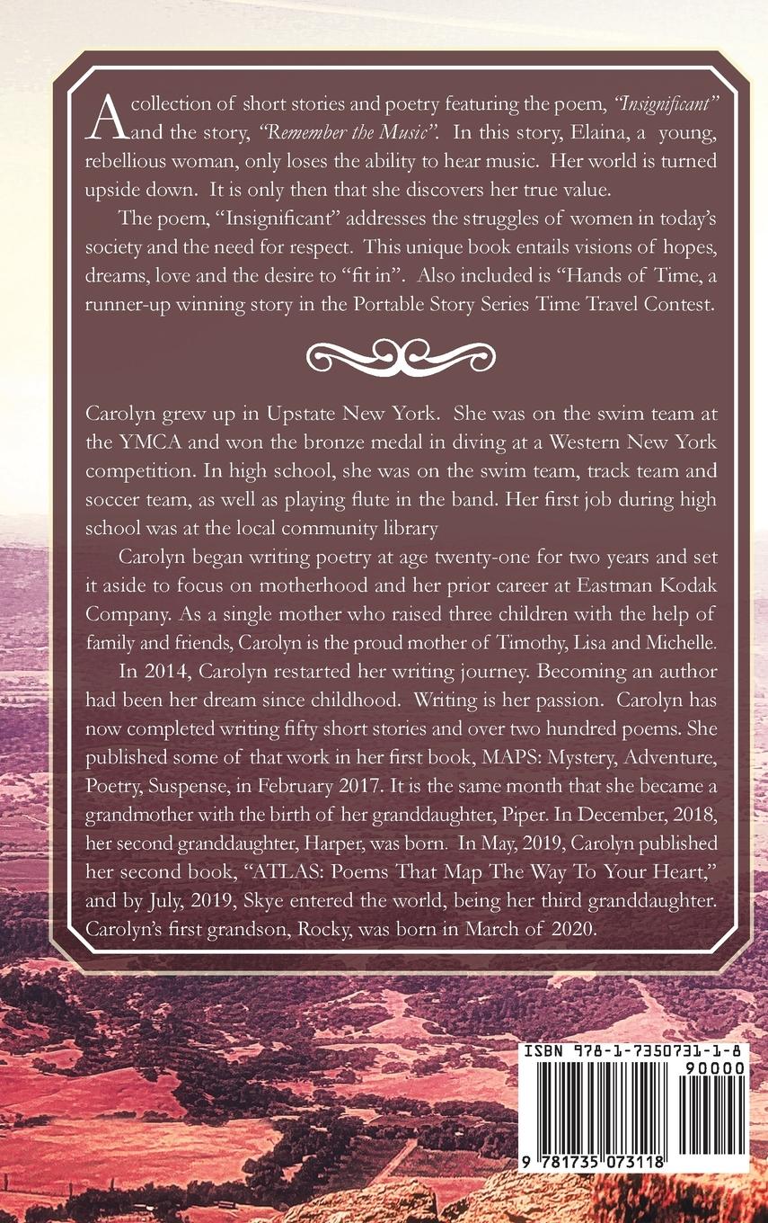 Rückseitencover GPS