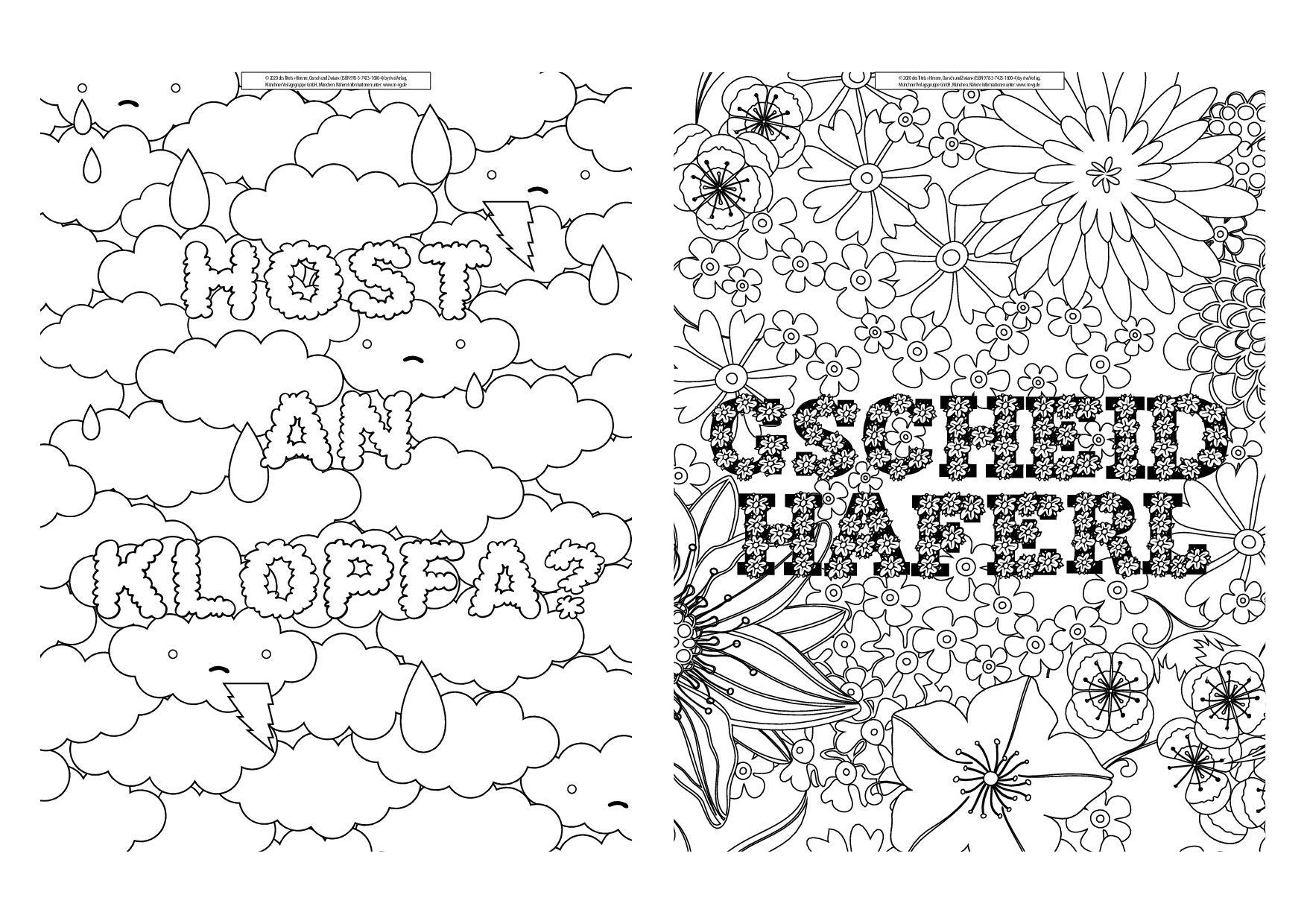 Beispielinhalt (Bild) FUCK - Himme, Oarsch und Zwian