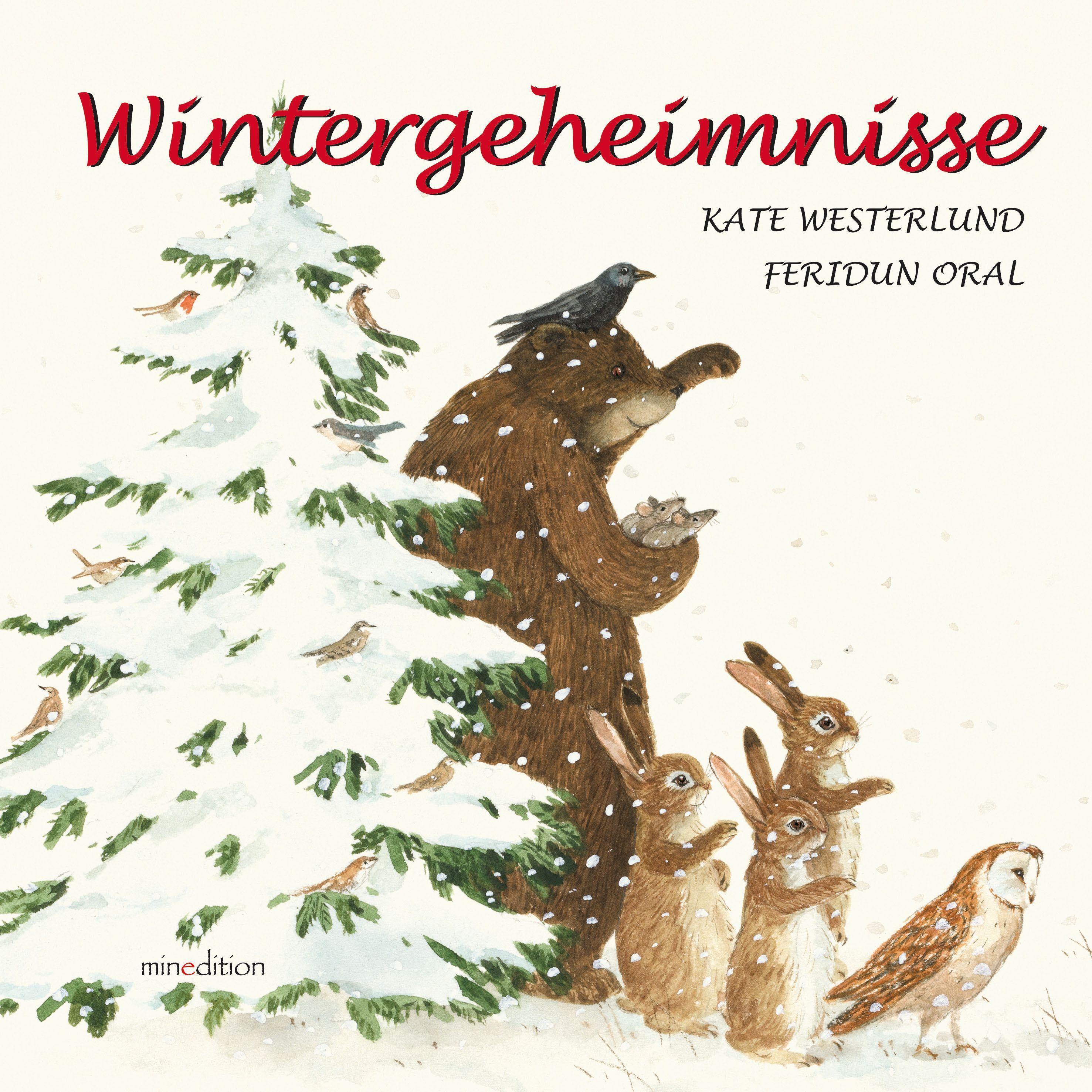 Vorderes Coverbild Wintergeheimnisse