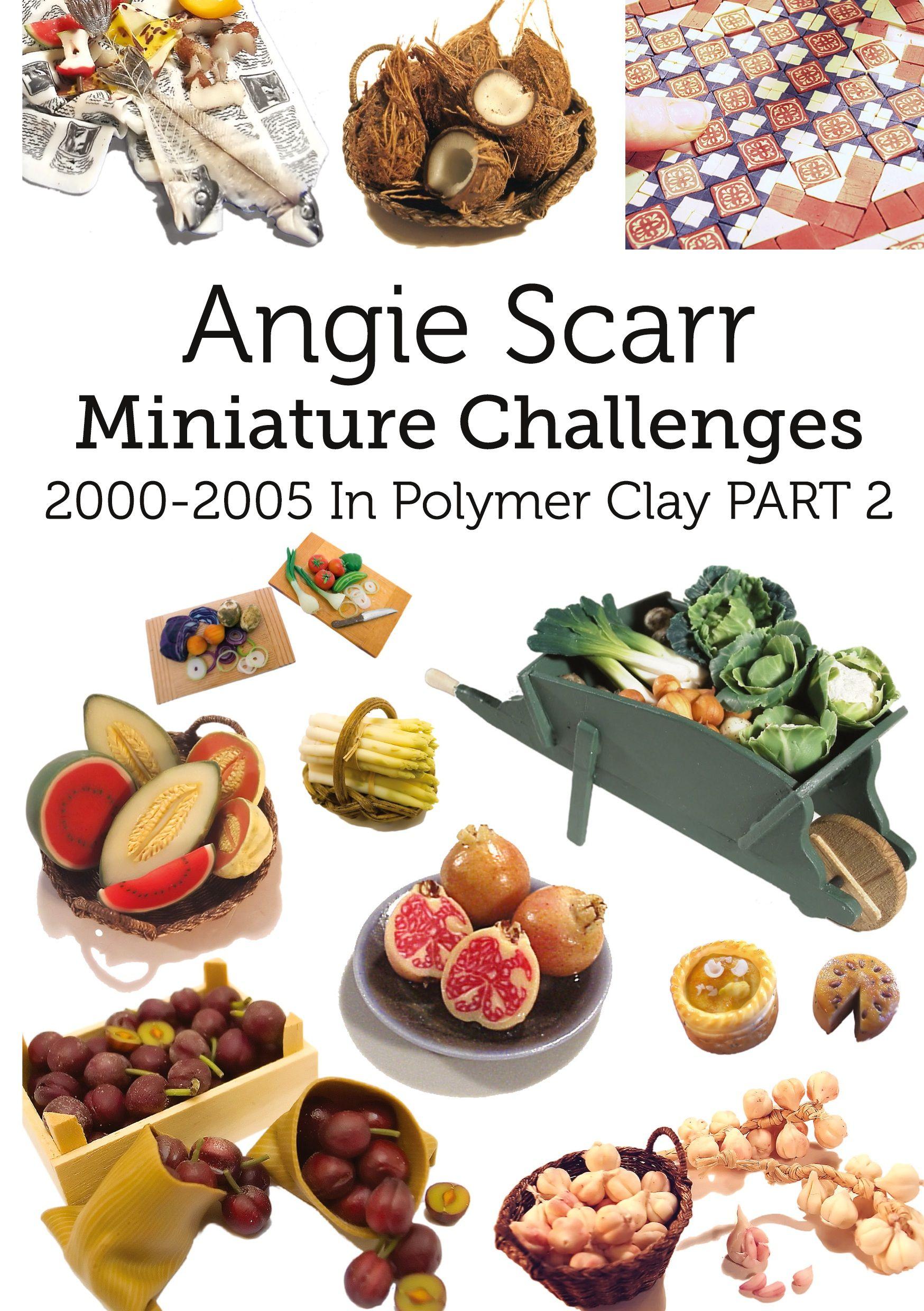 Vorderes Coverbild Angie Scarr Miniature Challenges