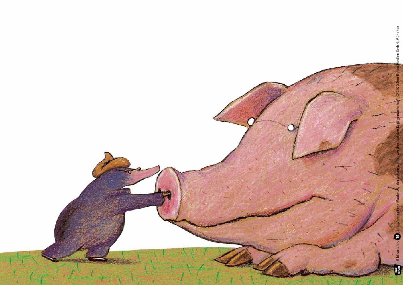 Beispielinhalt (Bild) Vom kleinen Maulwurf, der wissen wollte, wer ihm auf den Kopf gemacht hat. Kamishibai Bildkartenset