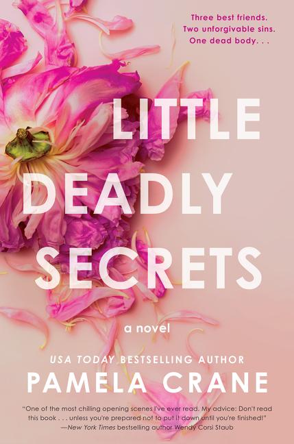 Vorderes Coverbild Little Deadly Secrets