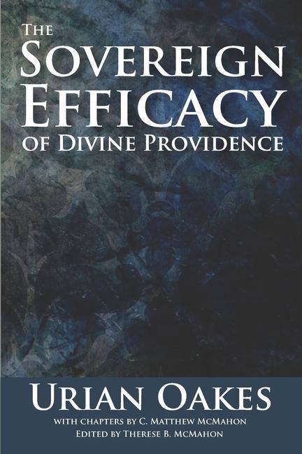 Vorderes Coverbild The Sovereign Efficacy of Divine Providence