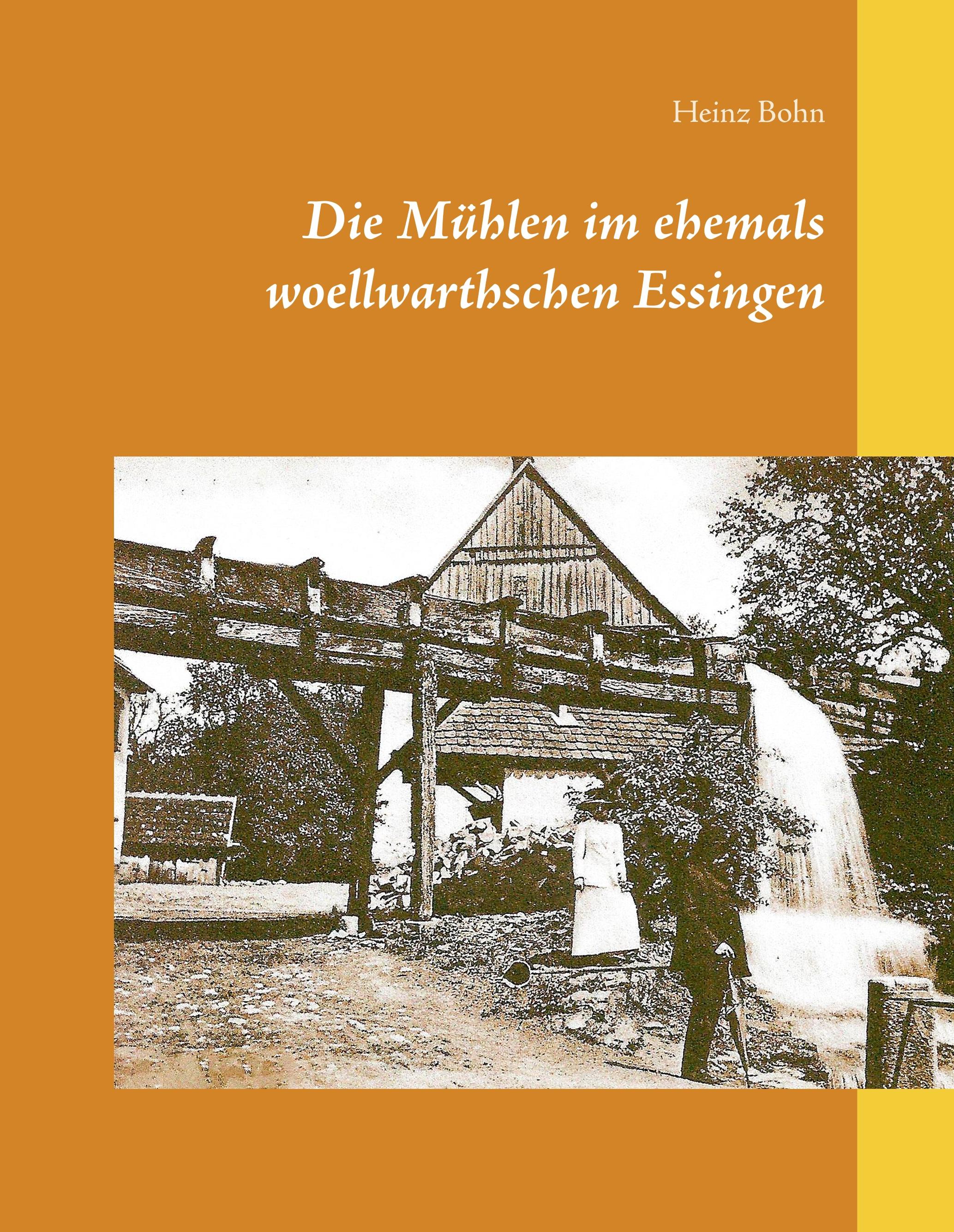 Vorderes Coverbild Die Mühlen im ehemals woellwarthschen Essingen