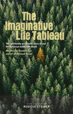 Vorderes Coverbild The Imaginative Life Tableau