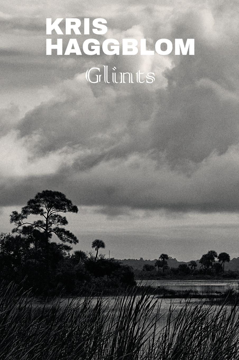 Vorderes Coverbild Glints