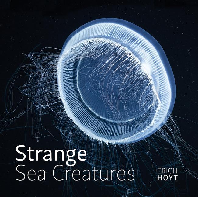 Vorderes Coverbild Strange Sea Creatures