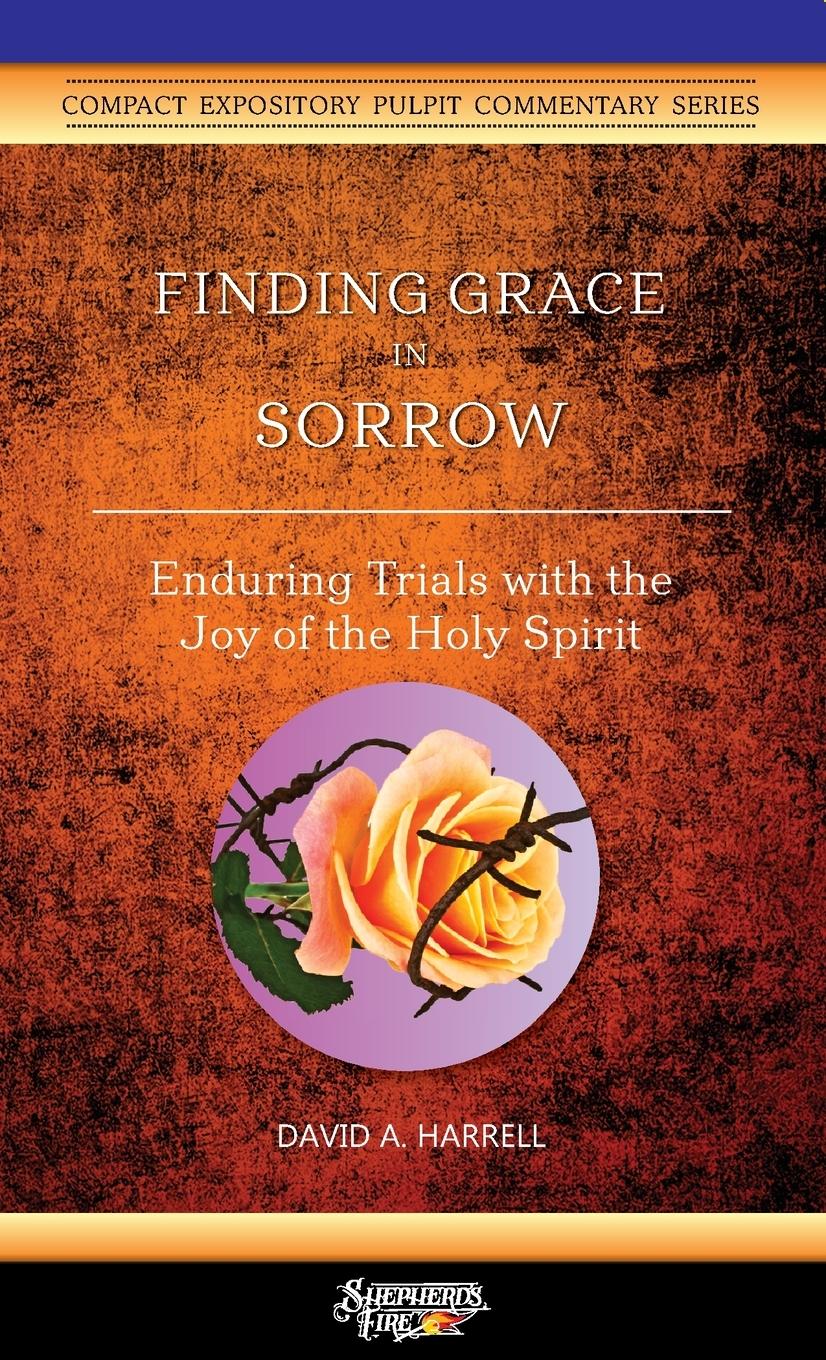 Vorderes Coverbild Finding Grace in Sorrow