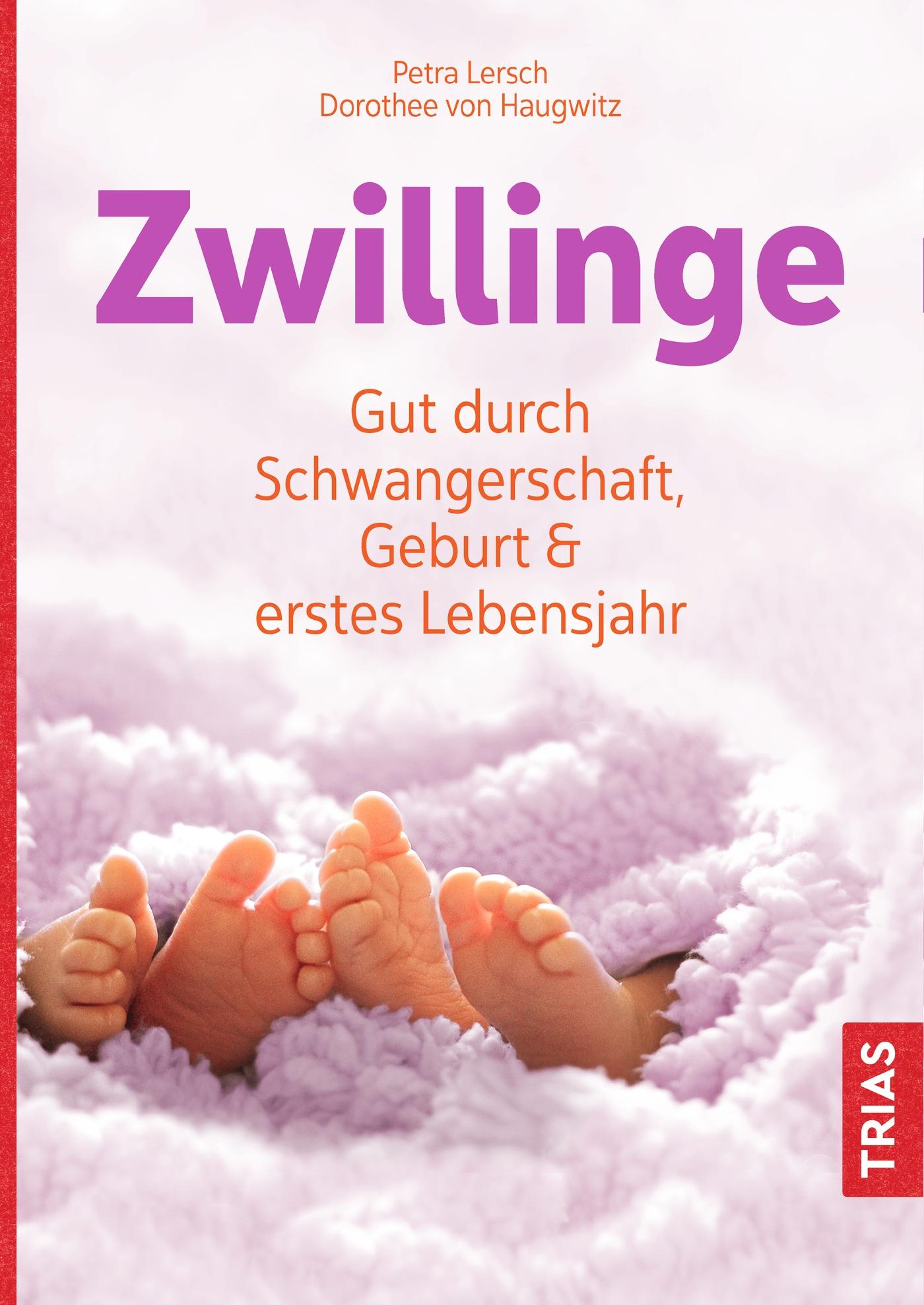 Vorderes Coverbild Zwillinge