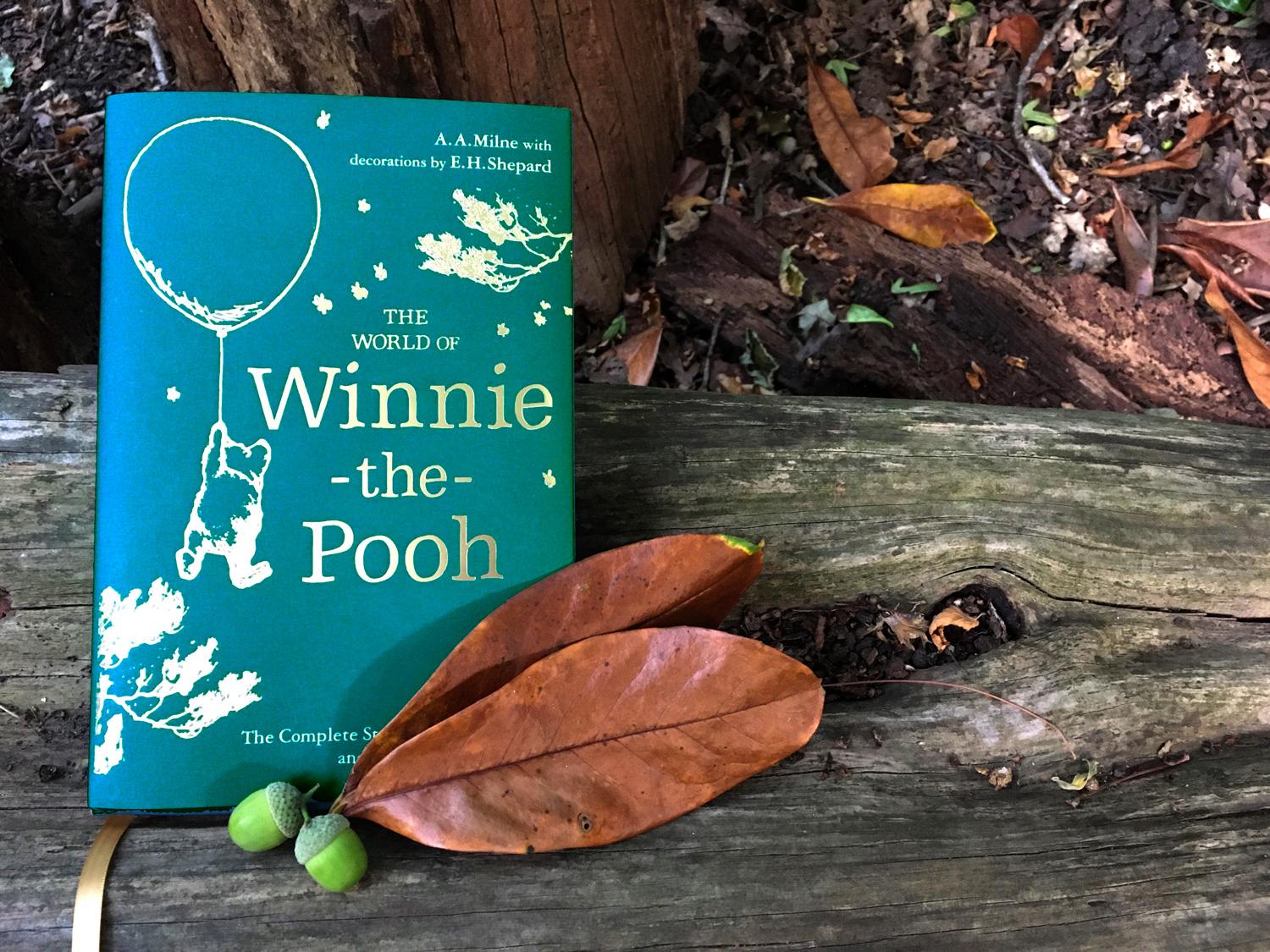 Beispielinhalt (Bild) Winnie-the-Pooh: The World of Winnie-the-Pooh