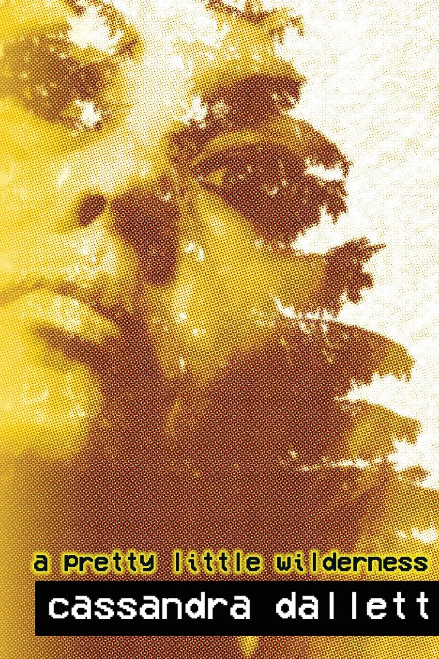 Vorderes Coverbild A Pretty Little Wilderness