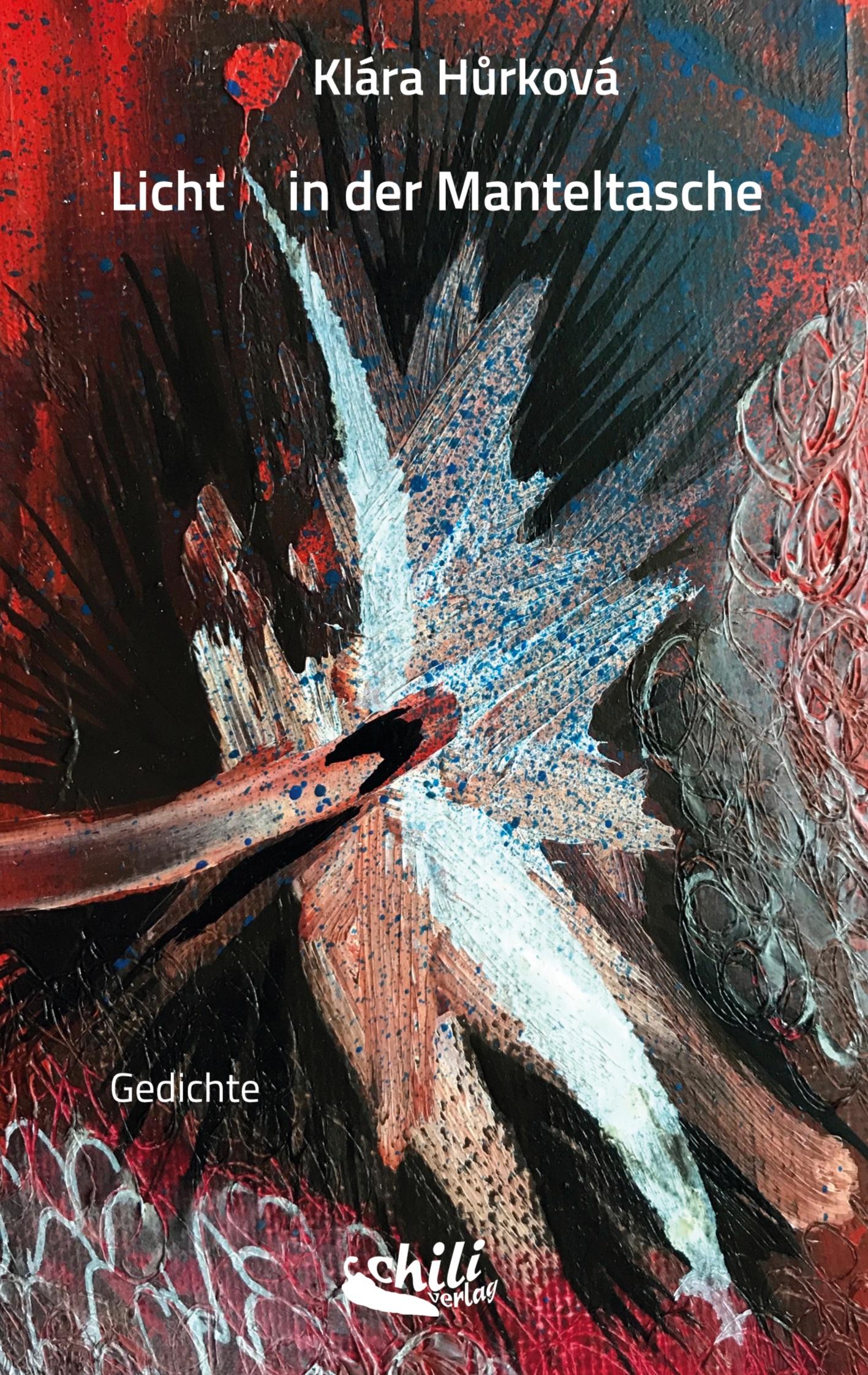 Vorderes Coverbild Licht in der Manteltasche