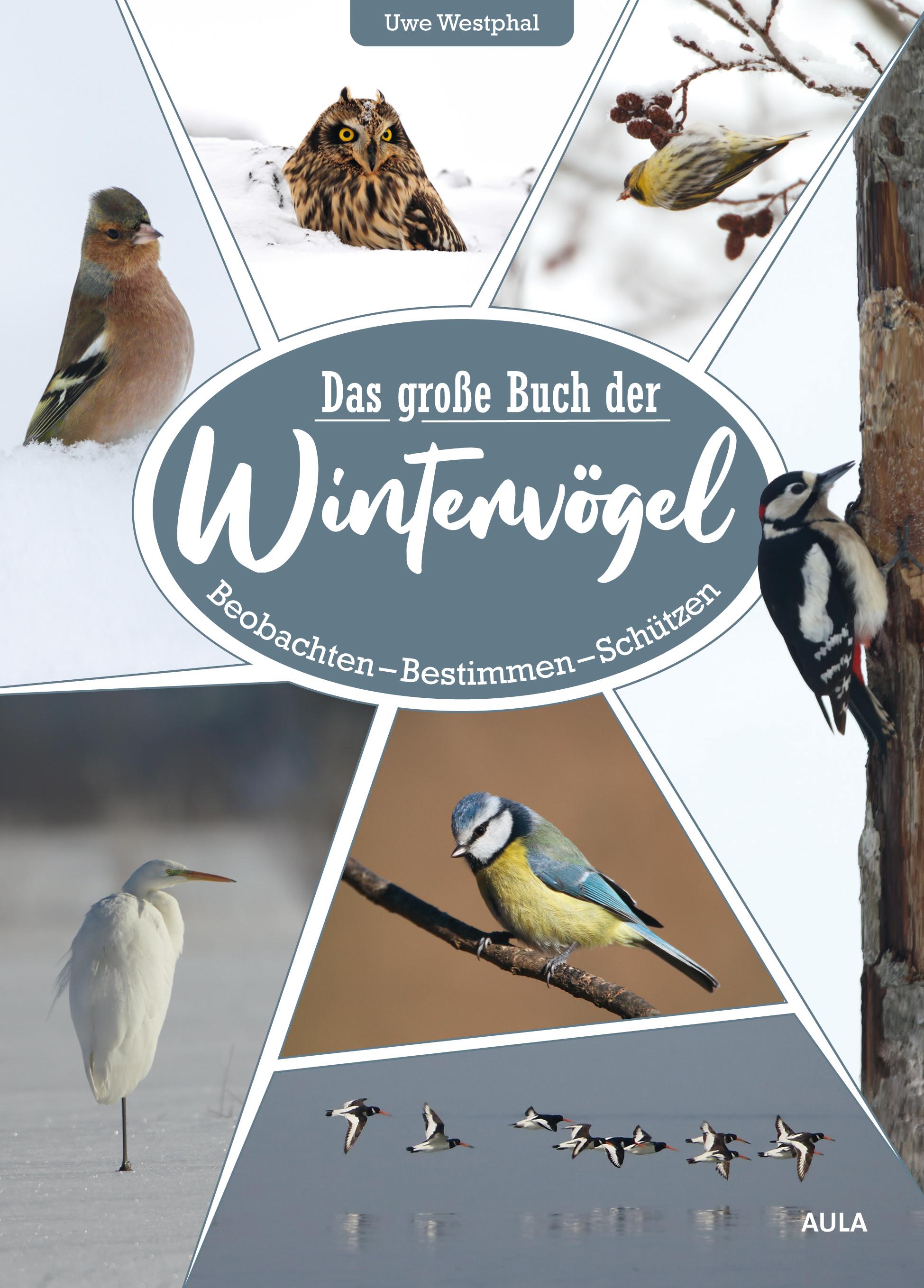 Vorderes Coverbild Das große Buch der Wintervögel