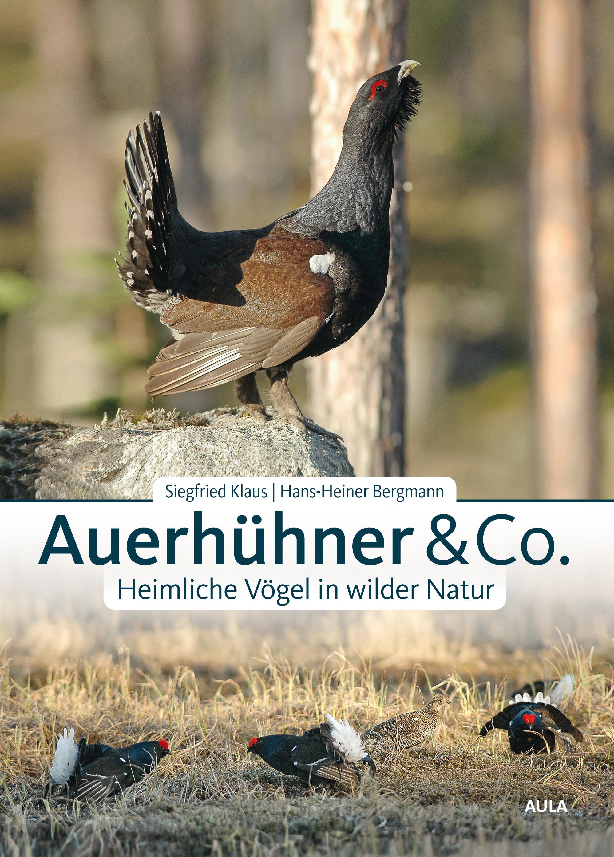 Vorderes Coverbild Auerhühner & Co.