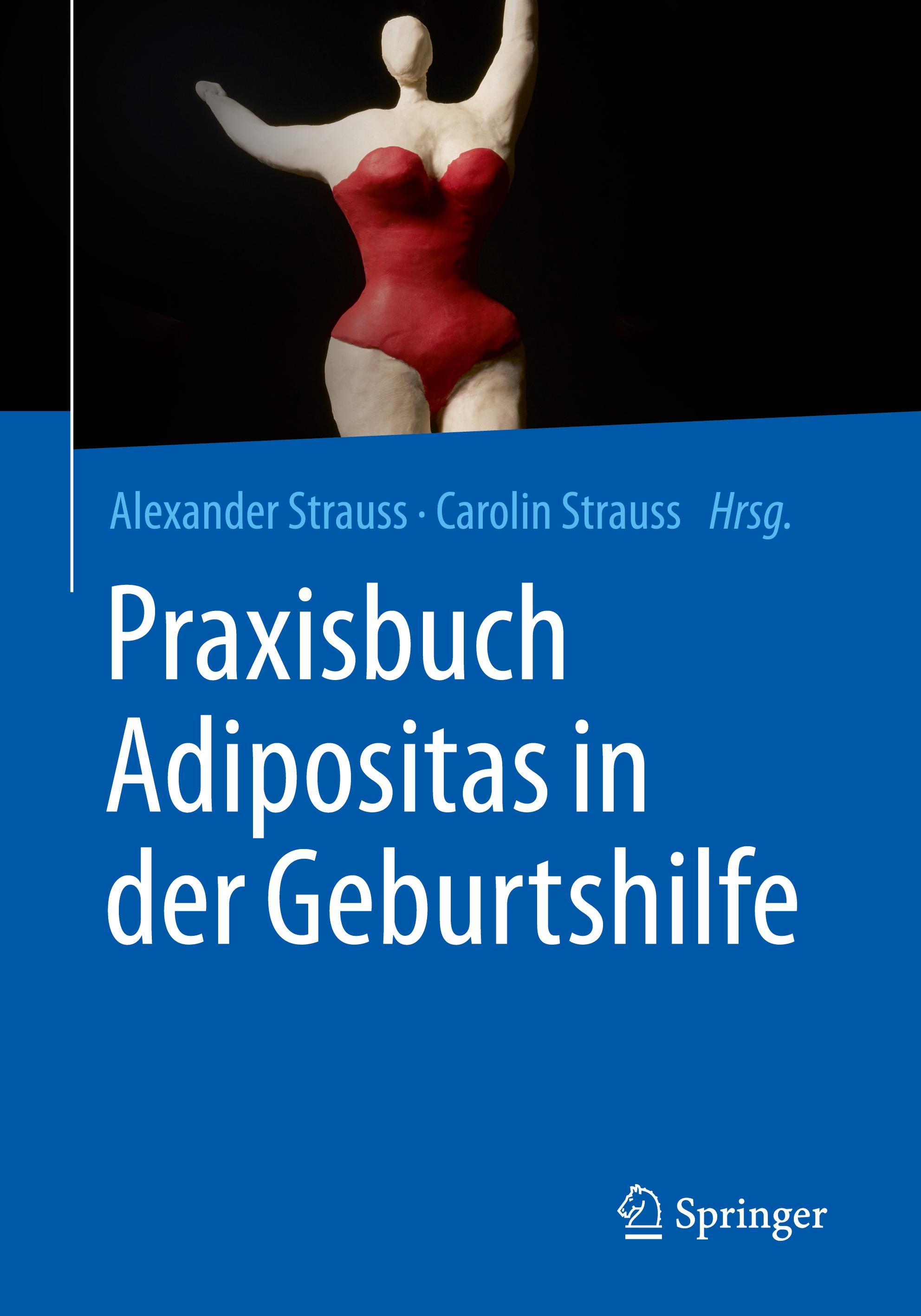 Vorderes Coverbild Praxisbuch Adipositas in der Geburtshilfe