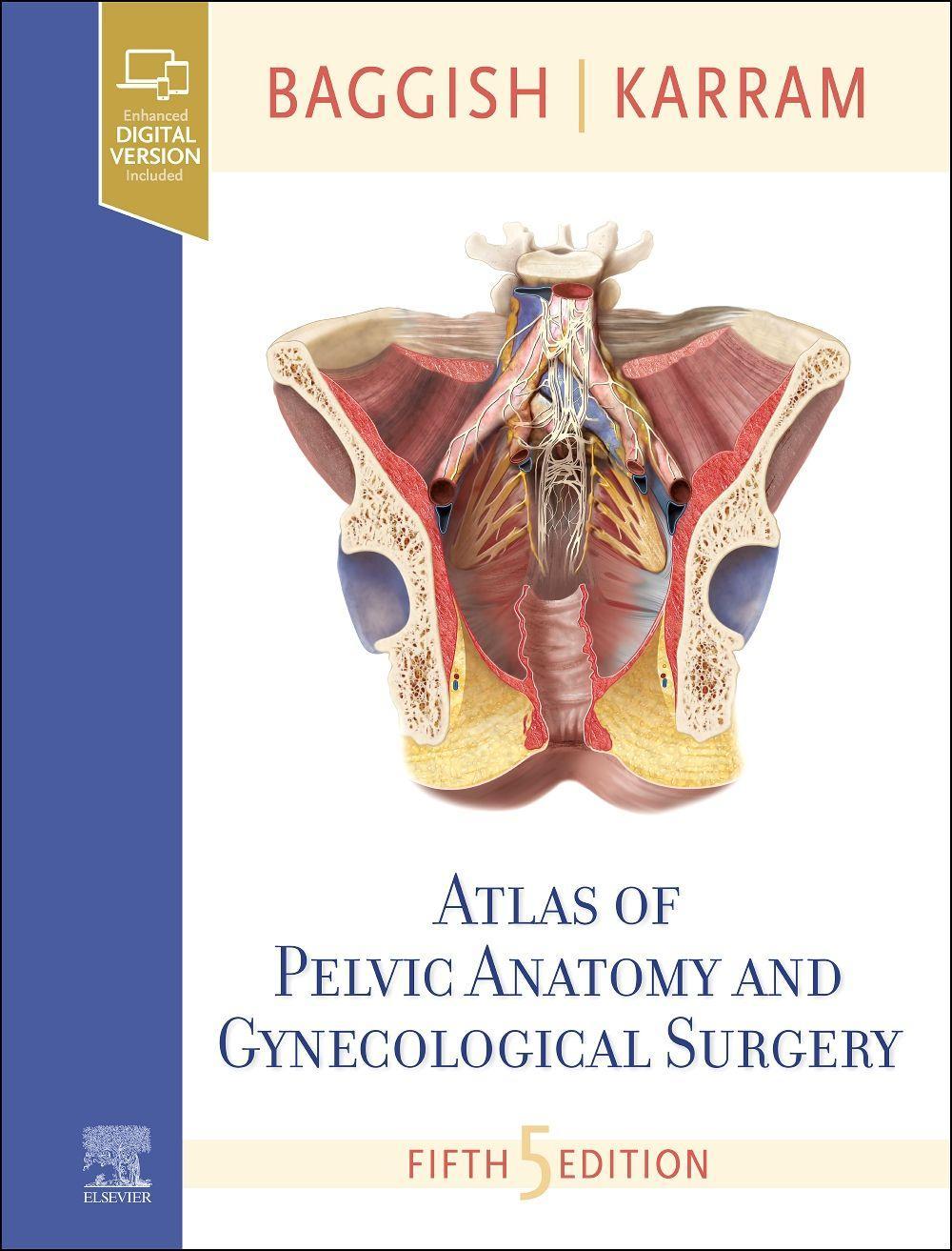 Vorderes Coverbild Atlas of Pelvic Anatomy and Gynecologic Surgery