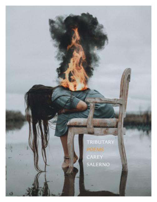 Vorderes Coverbild Tributary