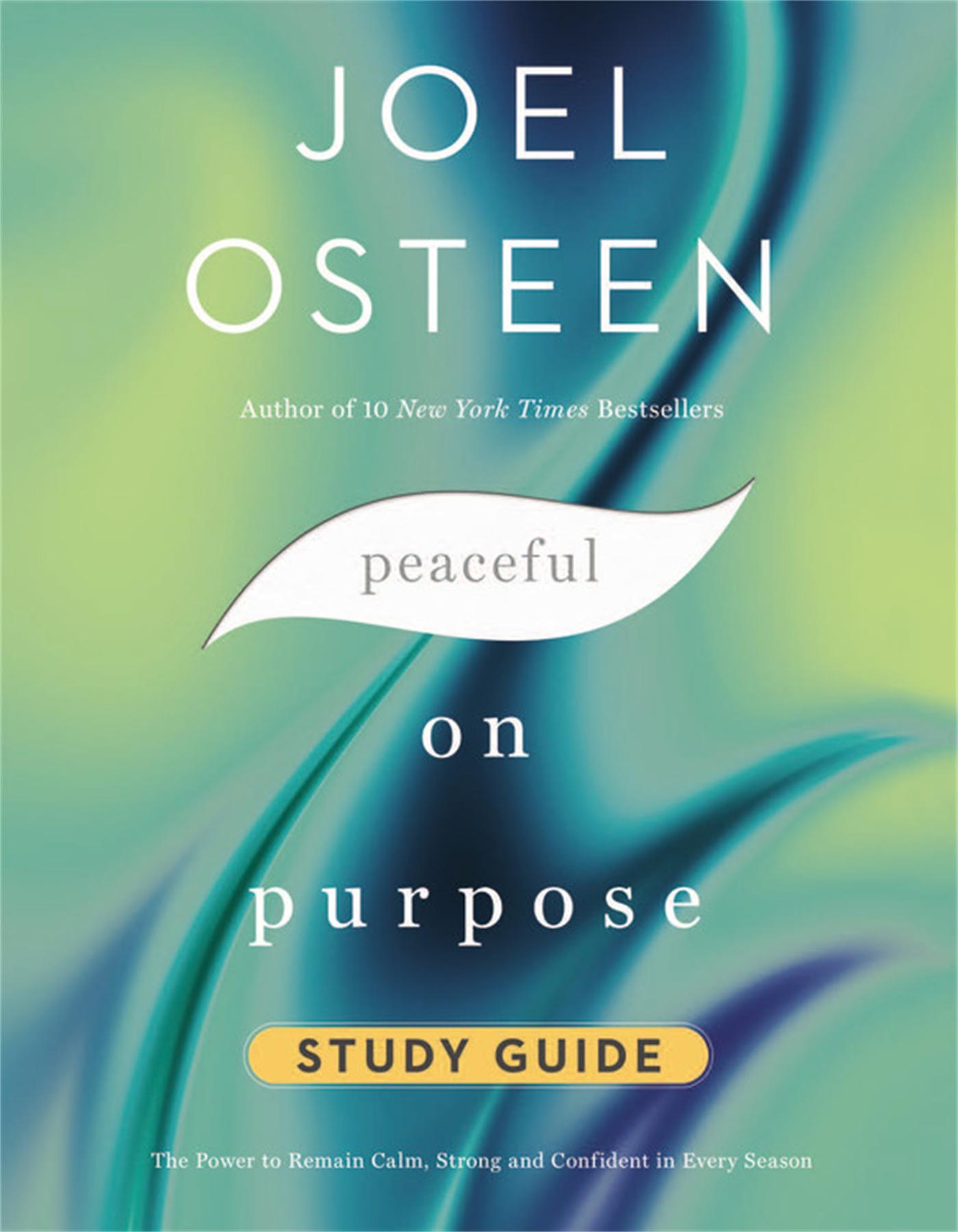 Vorderes Coverbild Peaceful on Purpose Study Guide