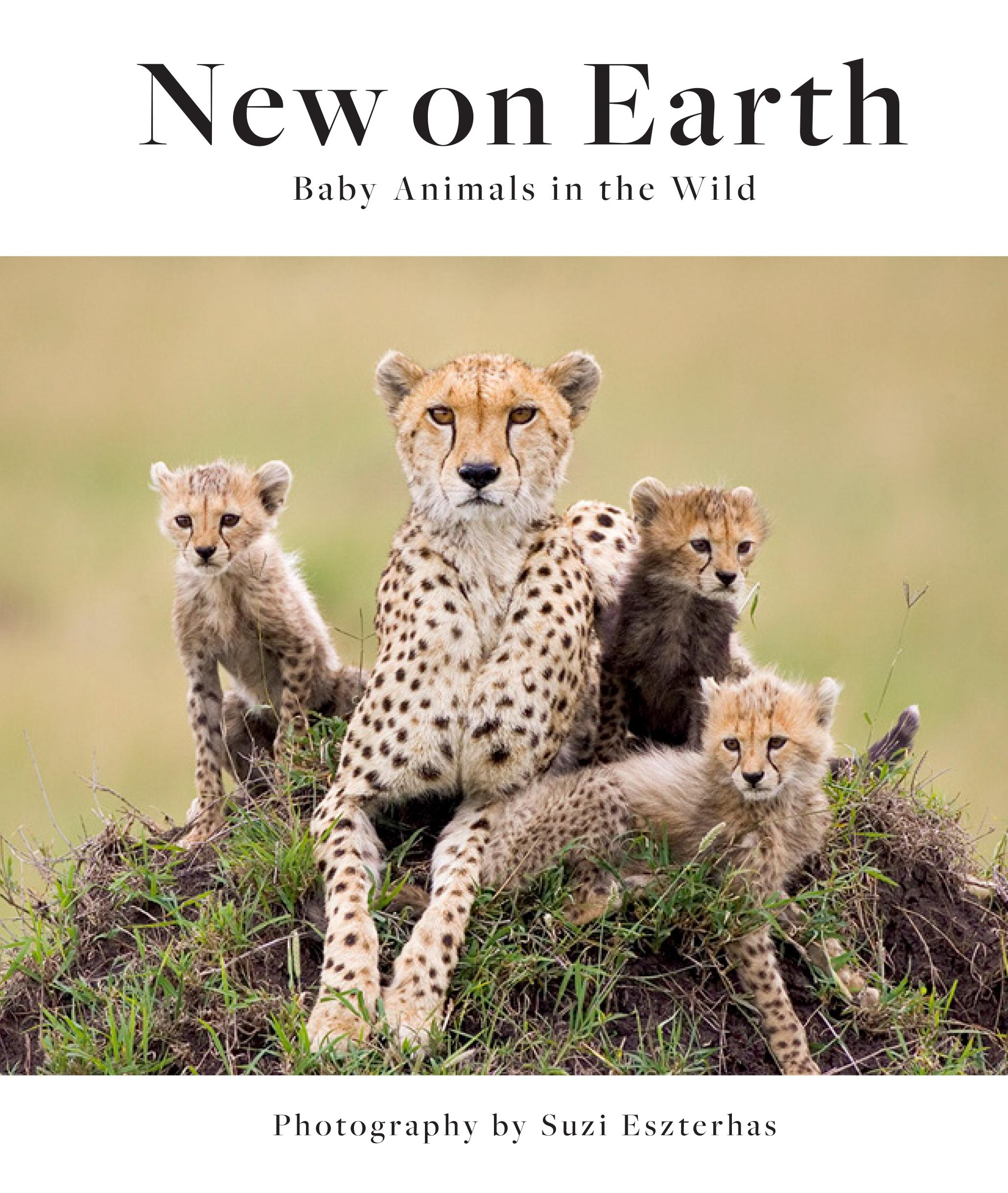 Vorderes Coverbild New on Earth