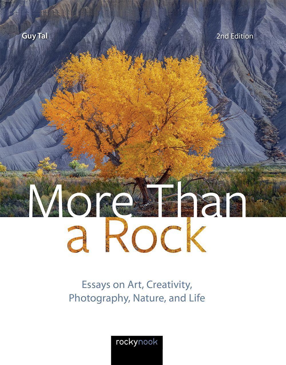 Vorderes Coverbild More Than a Rock, 2nd Edition