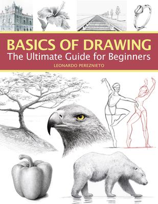 Vorderes Coverbild Basics of Drawing