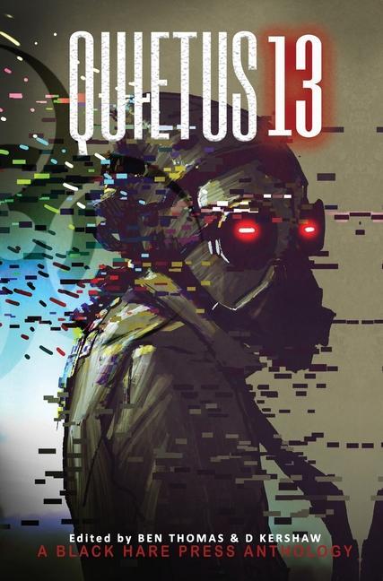 Vorderes Coverbild Quietus 13