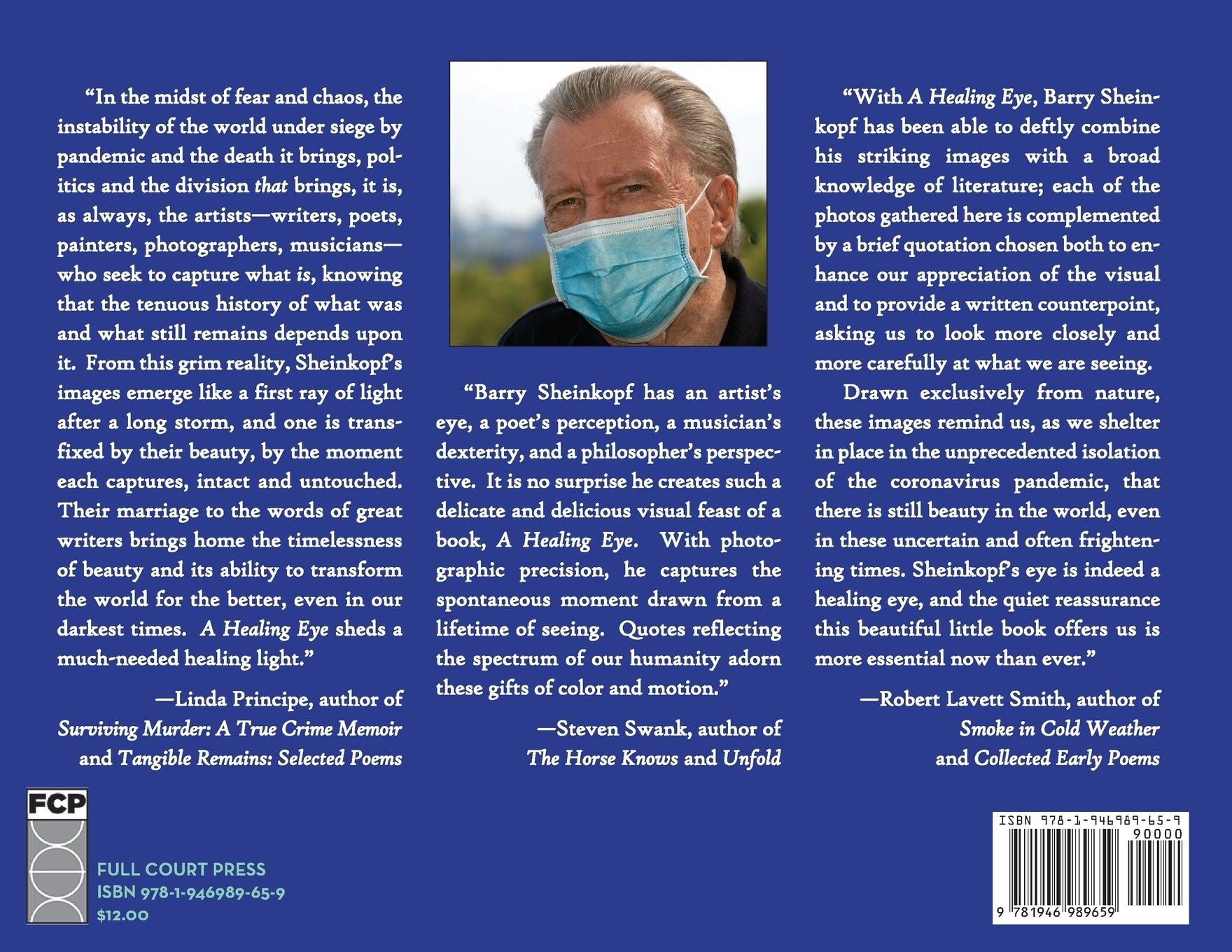 Rückseitencover A Healing Eye: Images and Words in a Time of Plague