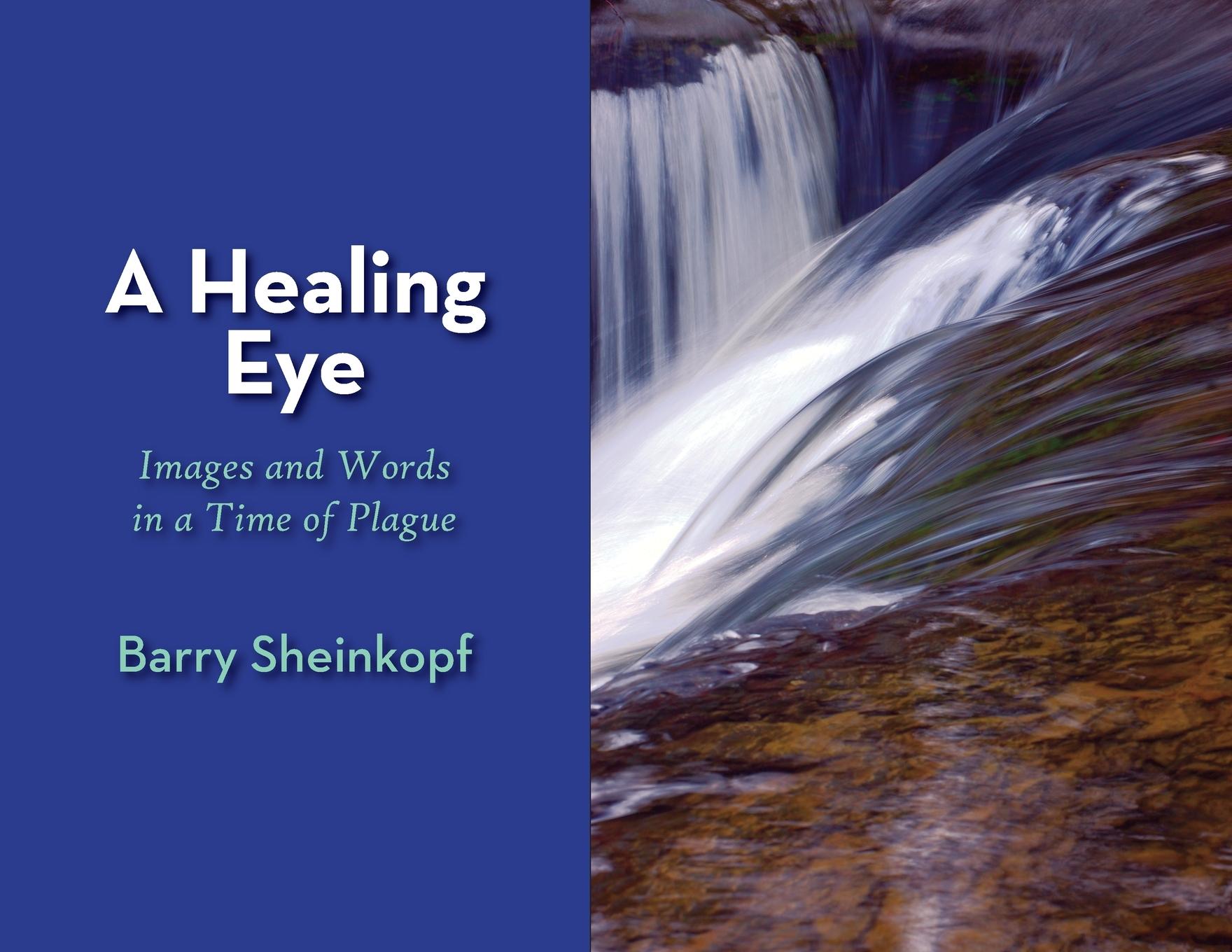 Vorderes Coverbild A Healing Eye: Images and Words in a Time of Plague