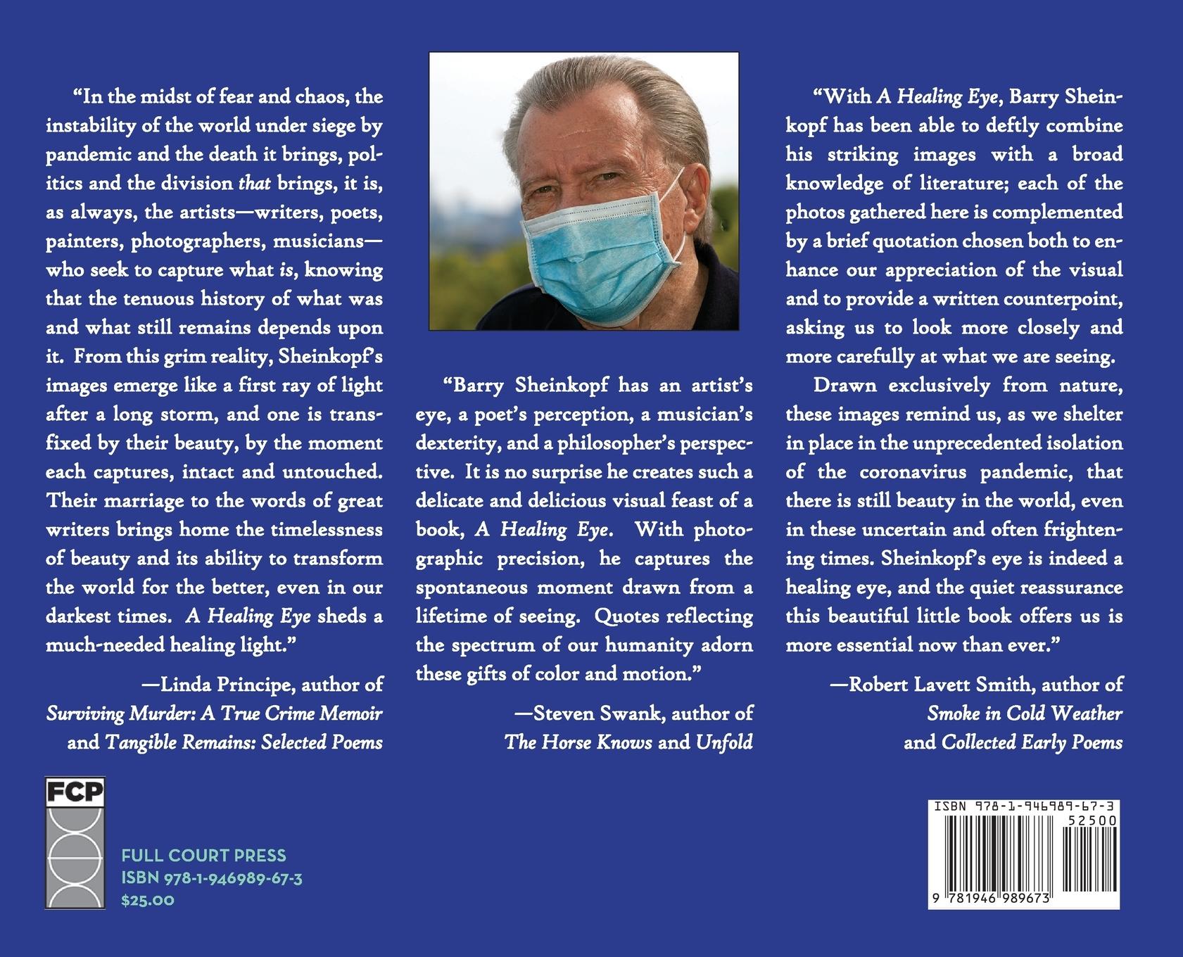 Rückseitencover A Healing Eye: Images and Words in a Time of Plague