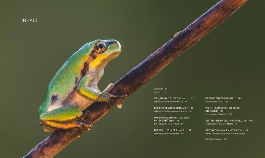 Beispielinhalt (Bild) Verborgene Wildnis Bayern